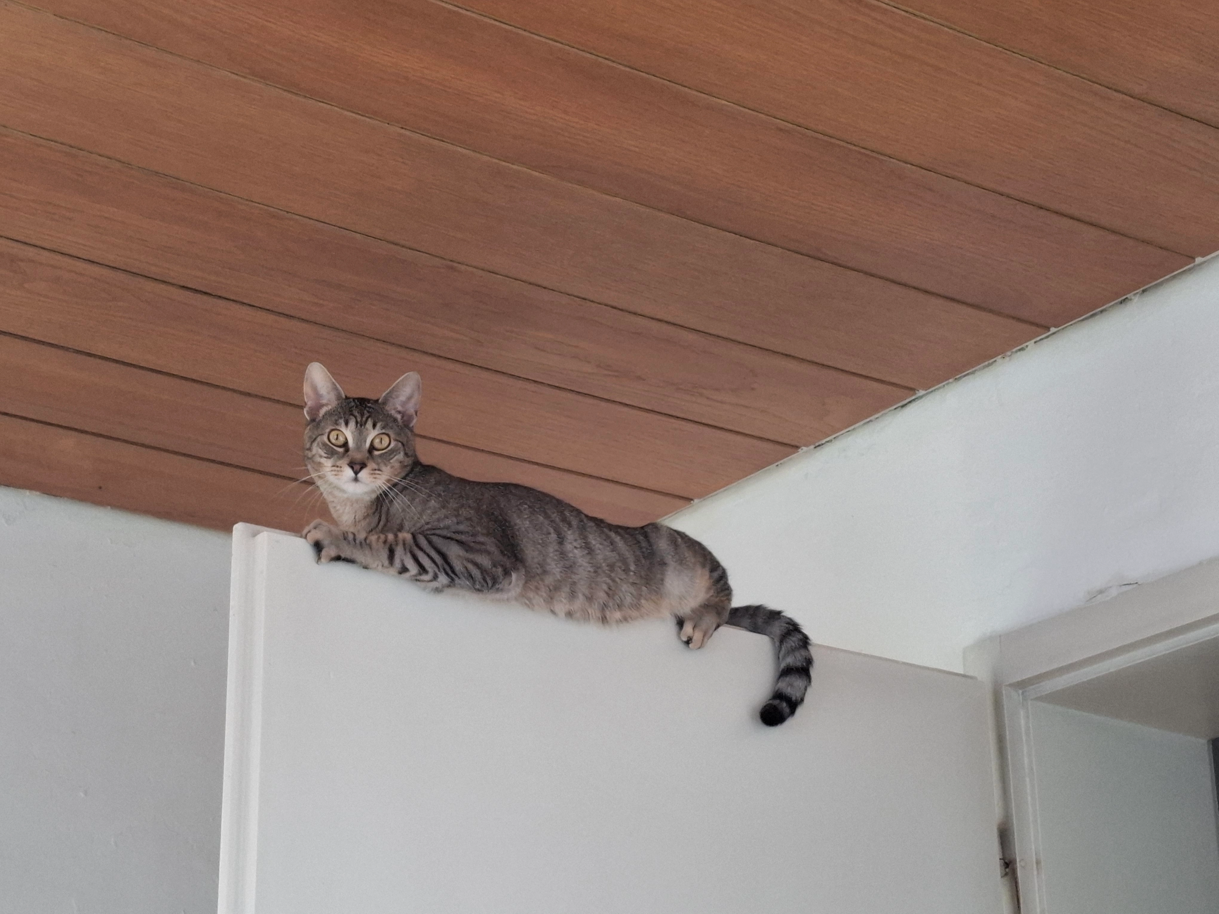 Sky - Hintere Gasse, Aichtal