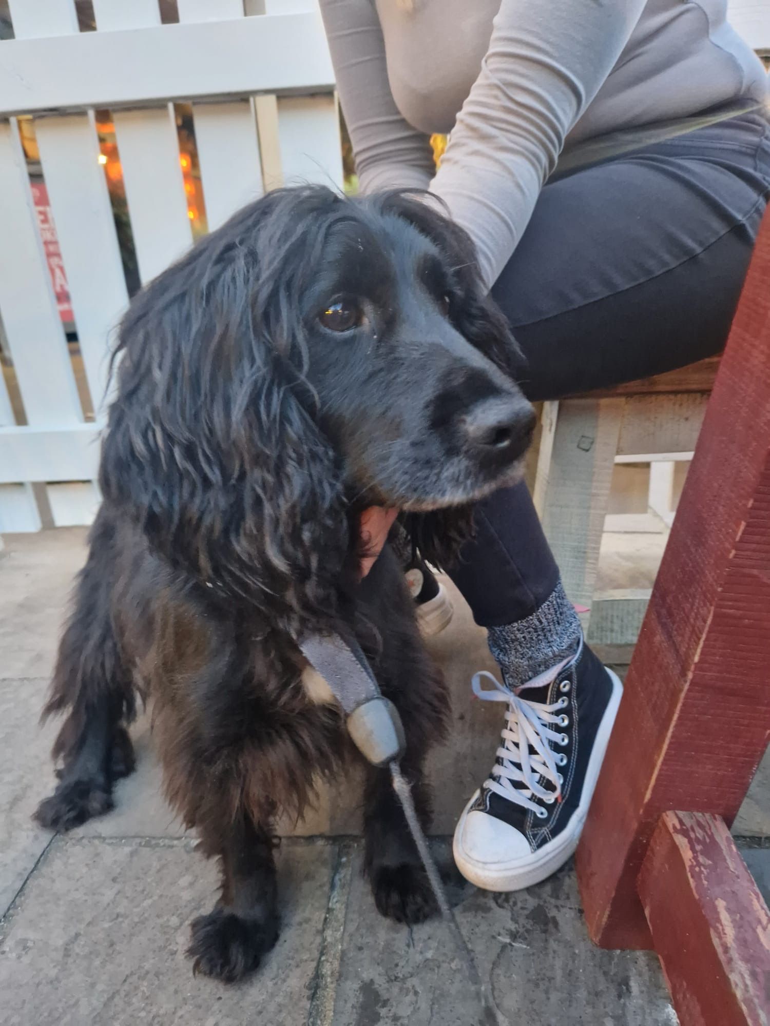 Milo - SK11 9, Macclesfield