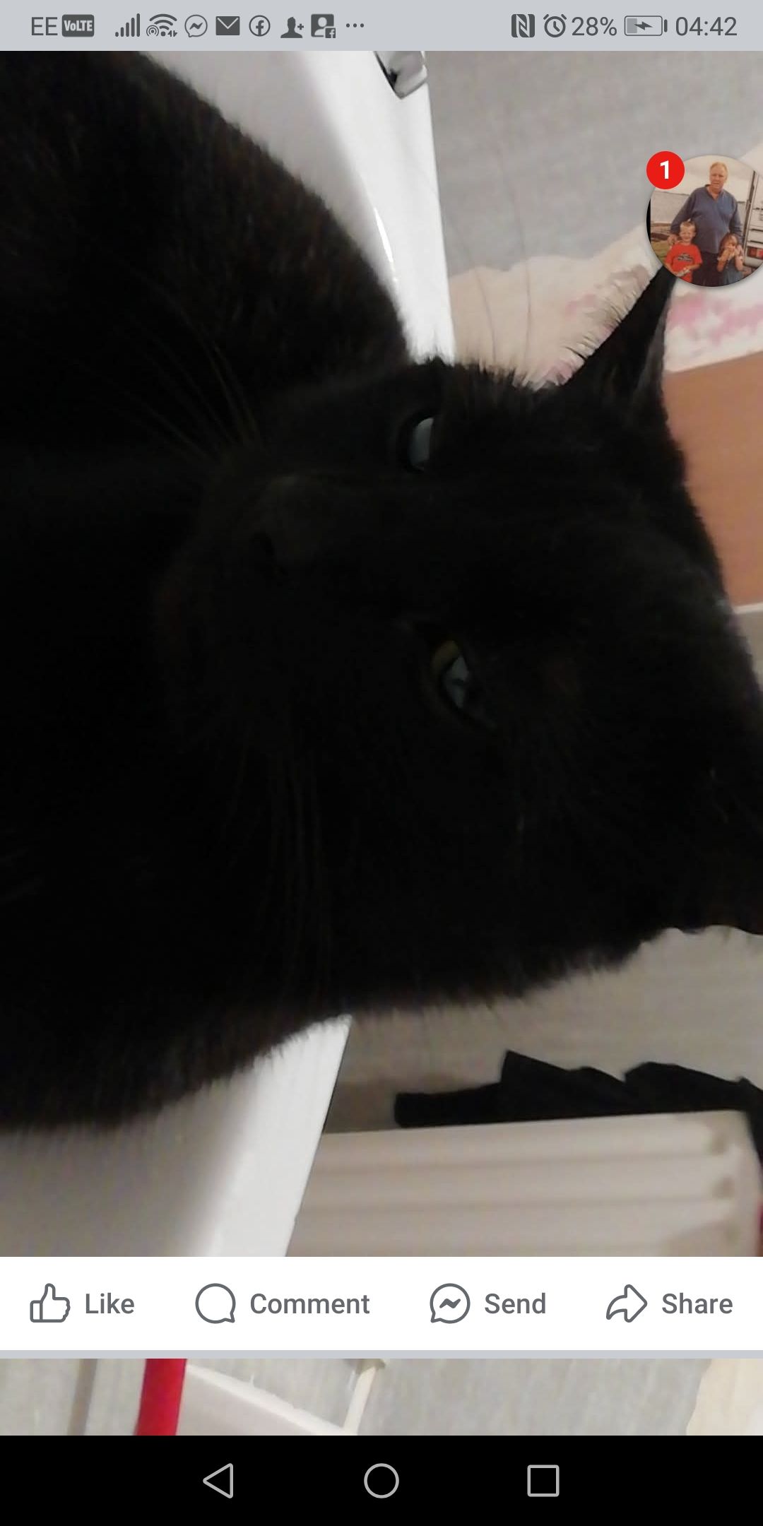 Gg - Rosmoyle, Craigavon