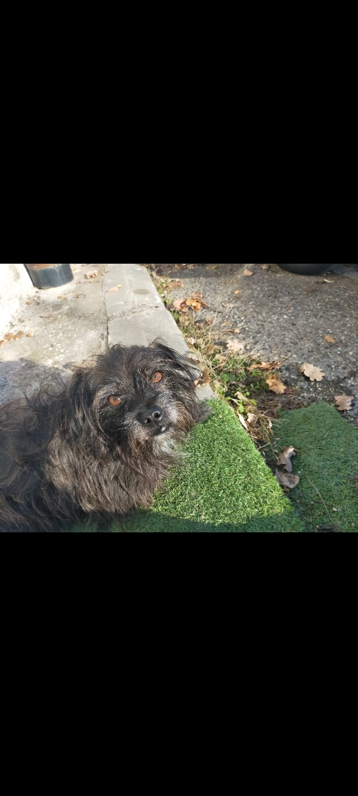 Bethoven - Chemin de la Violette, L'Union