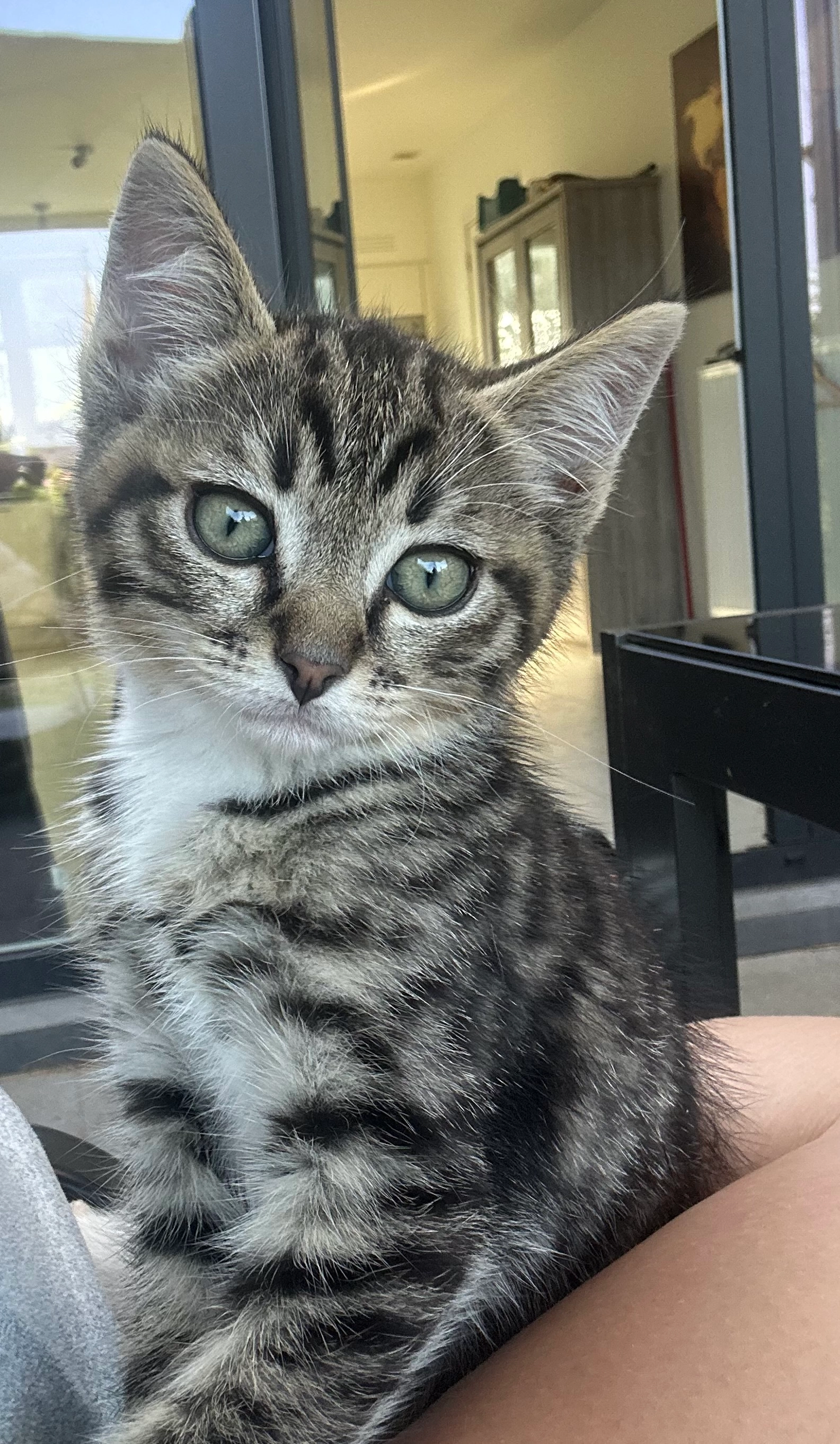 Lio - RenΓ© D'Huyvetterstraat, Kruisem