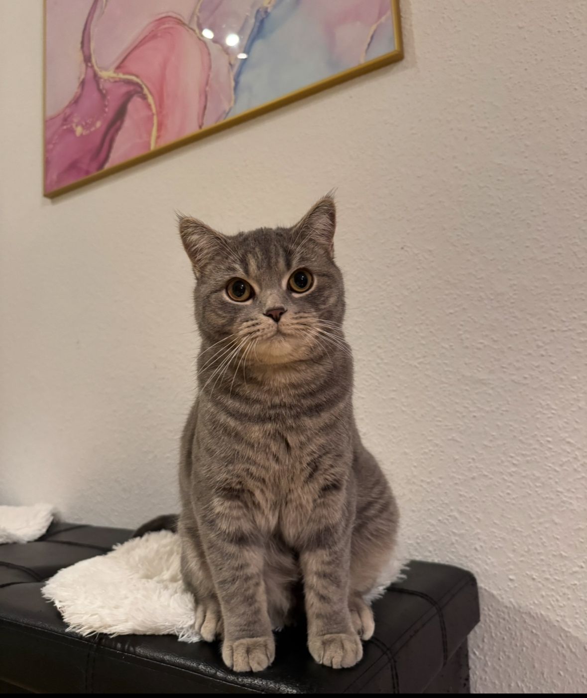 Pablo - Hermannstraße, Geseke