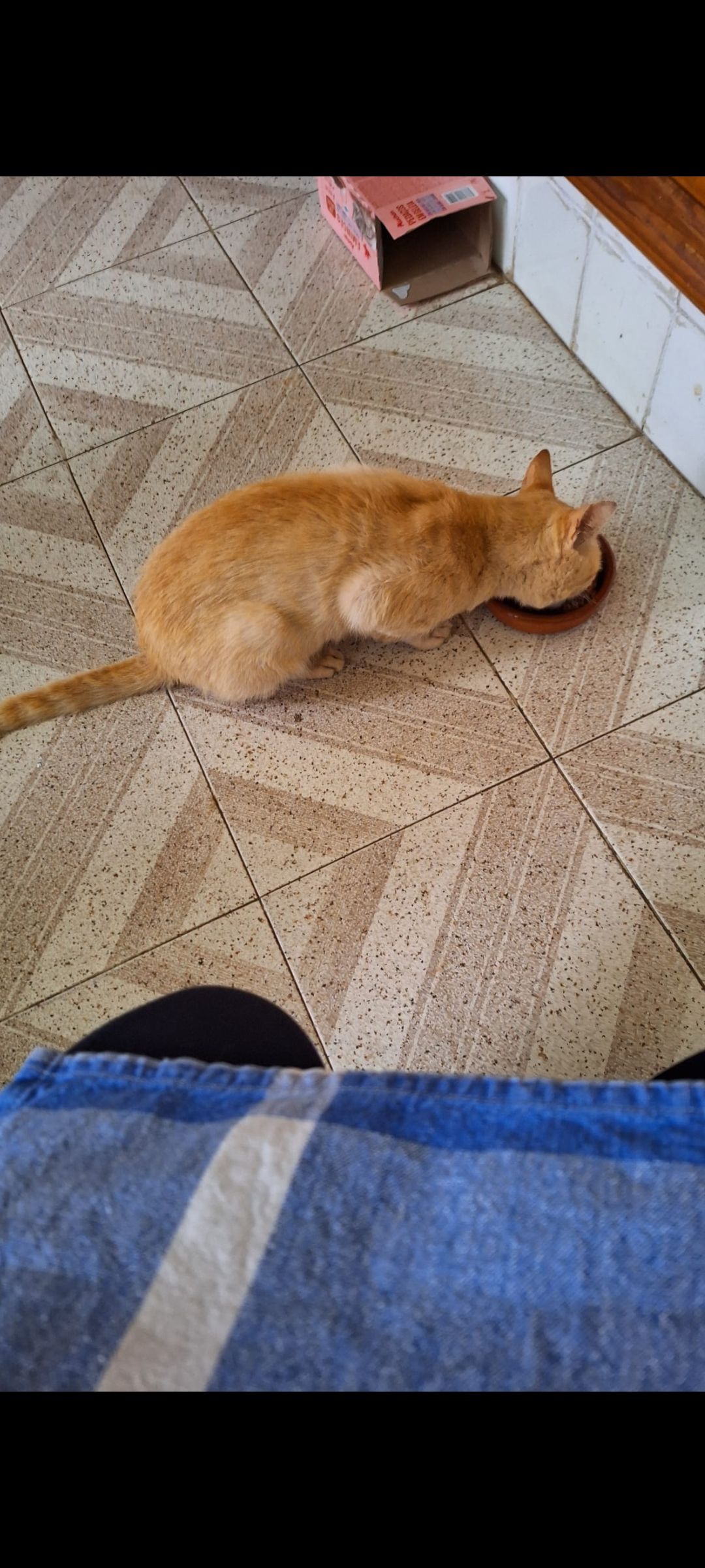 Moka - Cangas de Onís, Cangas de Onís