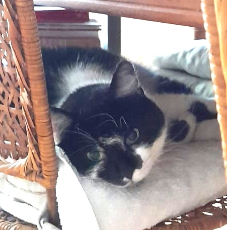 Lotte - Uhlandstraße, Konstanz