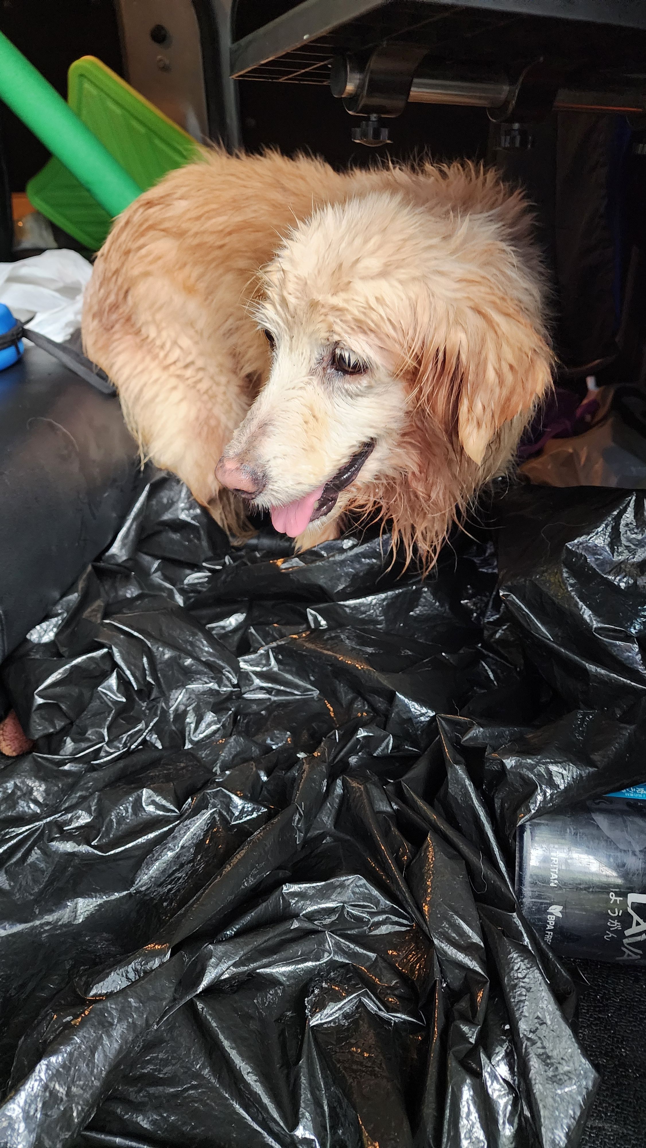 Maya - Leedon Road, Singapore