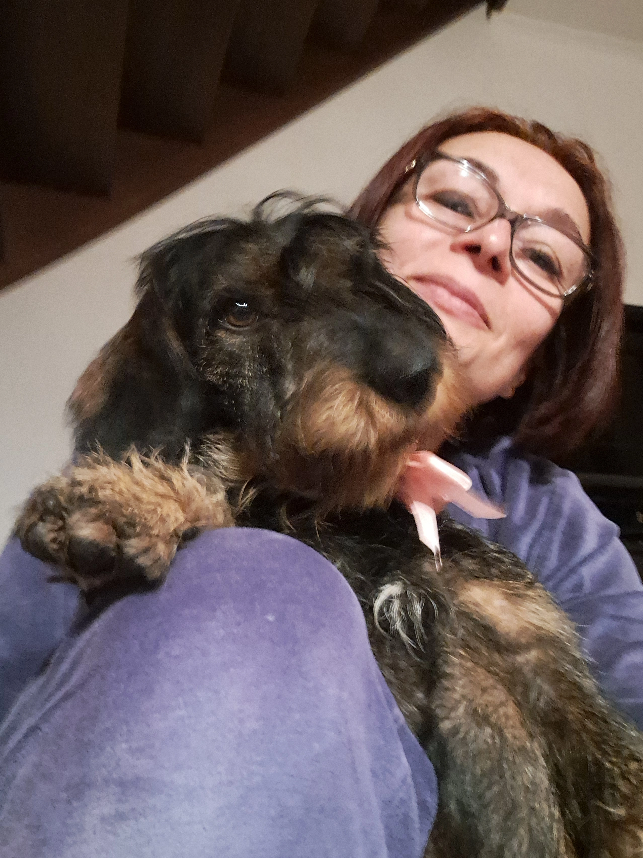 Jezek  - 13187, Berlin