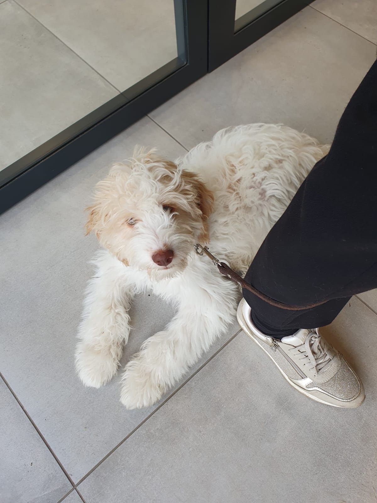 marie - Ottergemstraat, Erpe-Mere