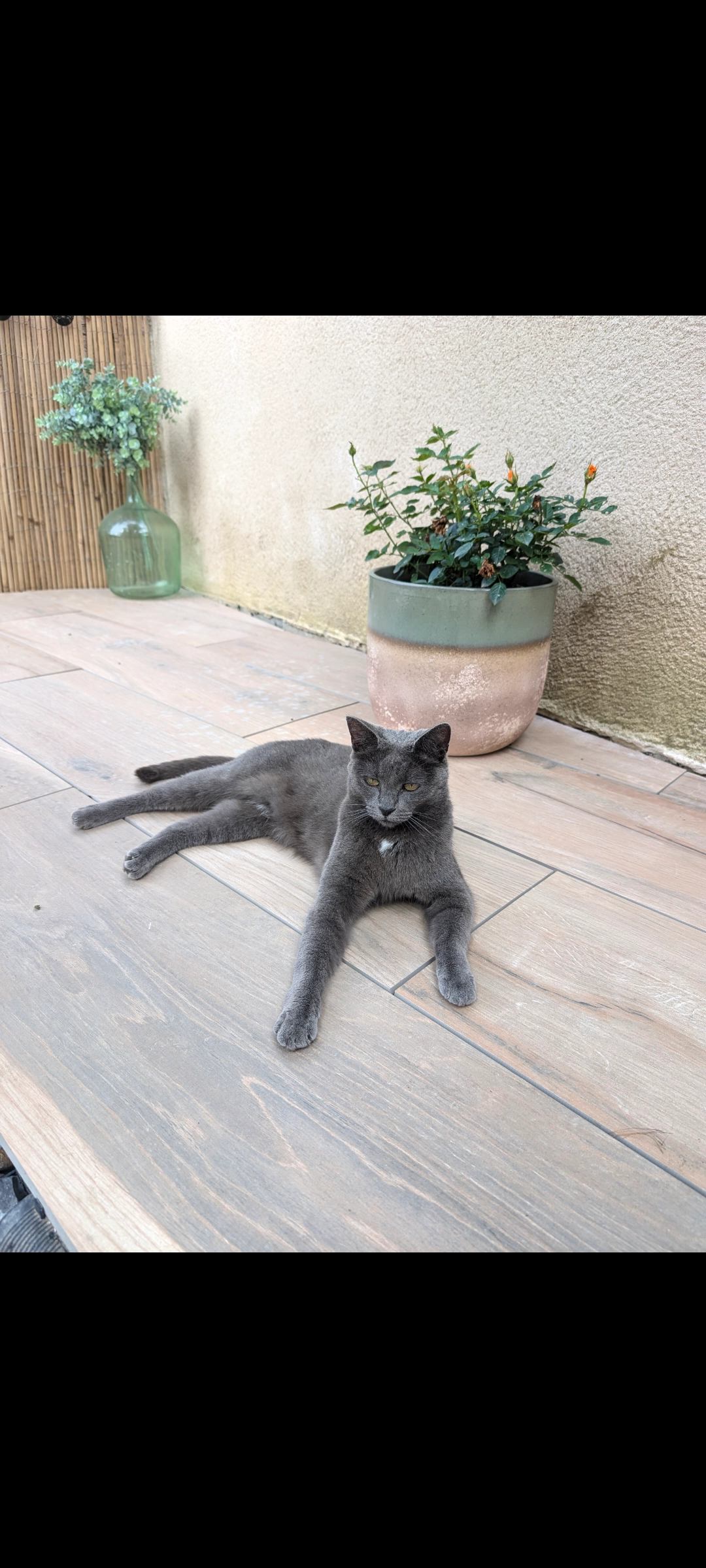 Pouka Koronatsky  - Rue du Forgeron, Saint-Bonnet-de-Mure