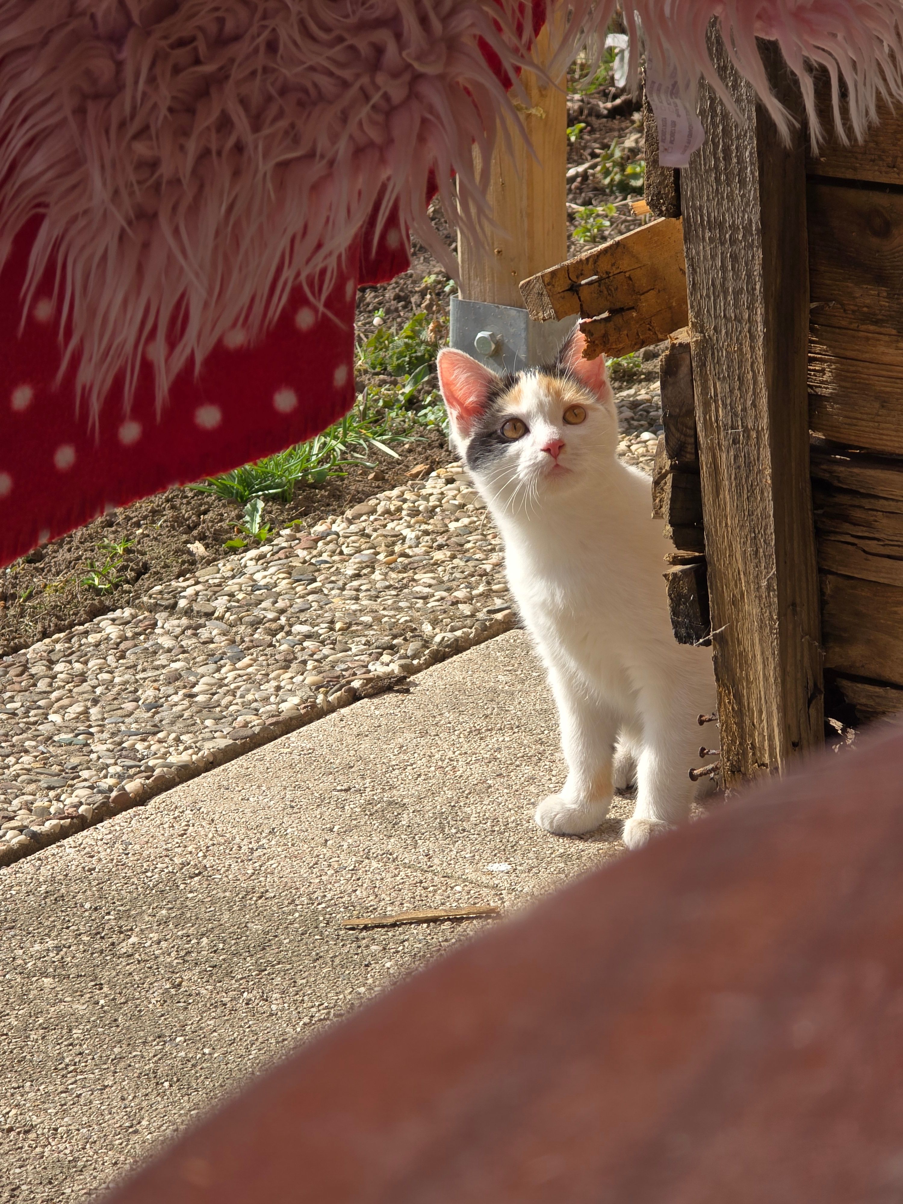 Mia - Hauptstraße, Dahlum