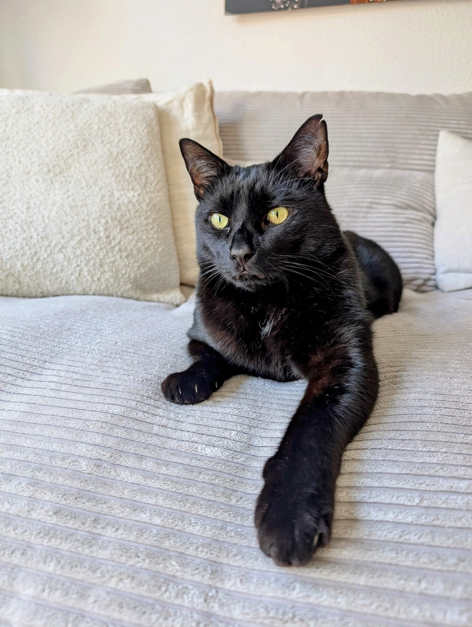 Charly - Zum Römersprudel, Trier