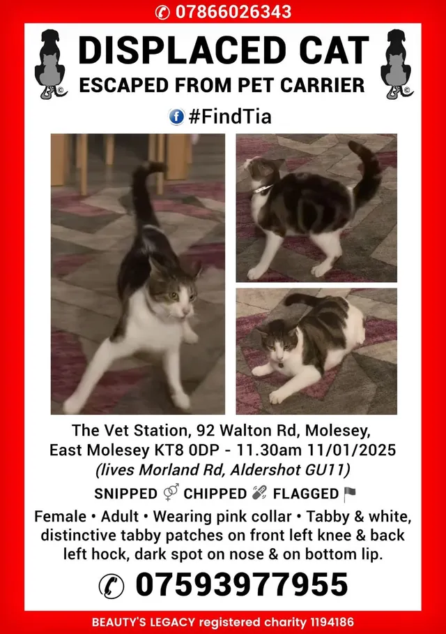 Tia - Walton Road, East Molesey