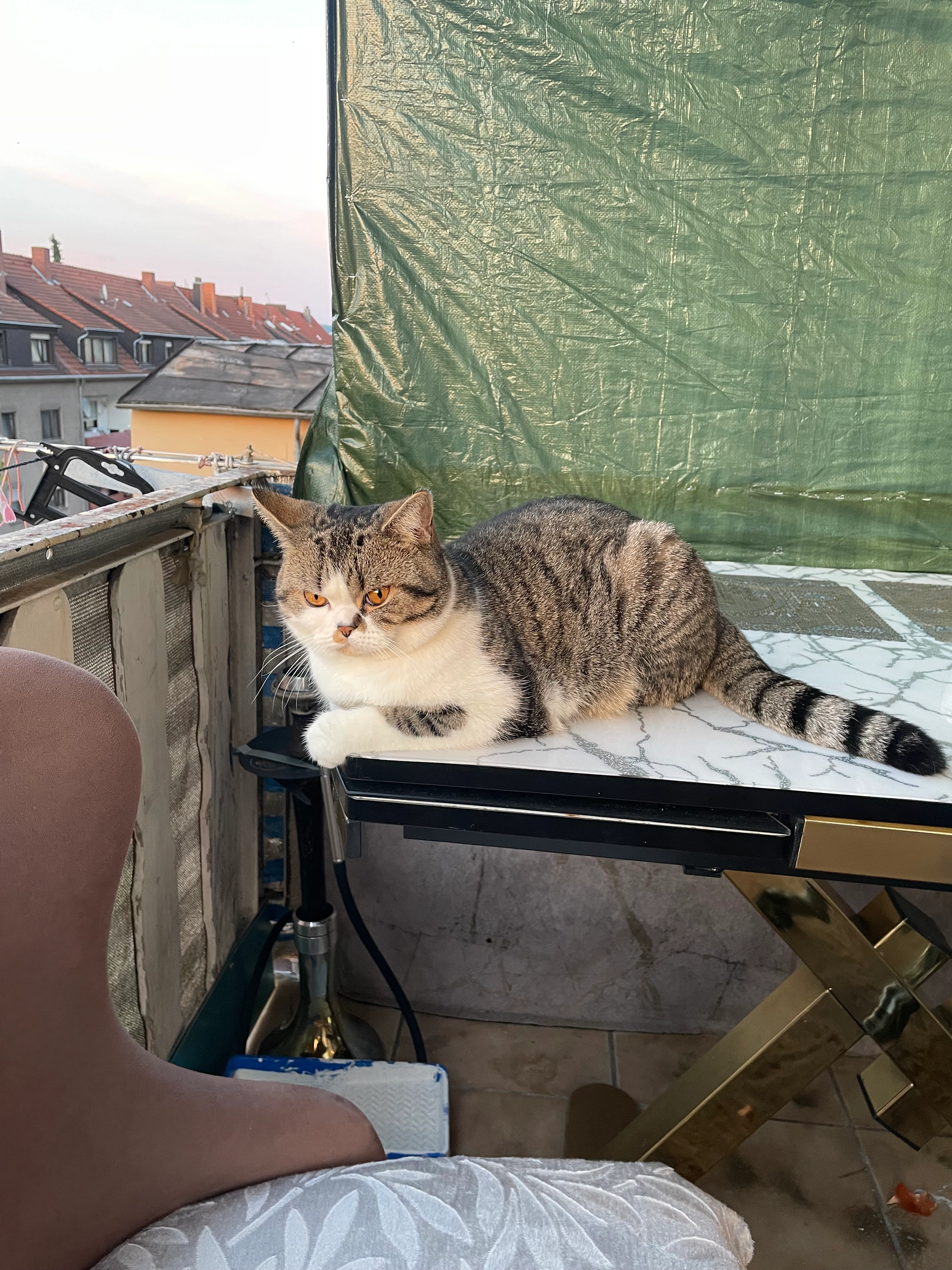 Tayson - Leipziger Straße, Saarbrücken