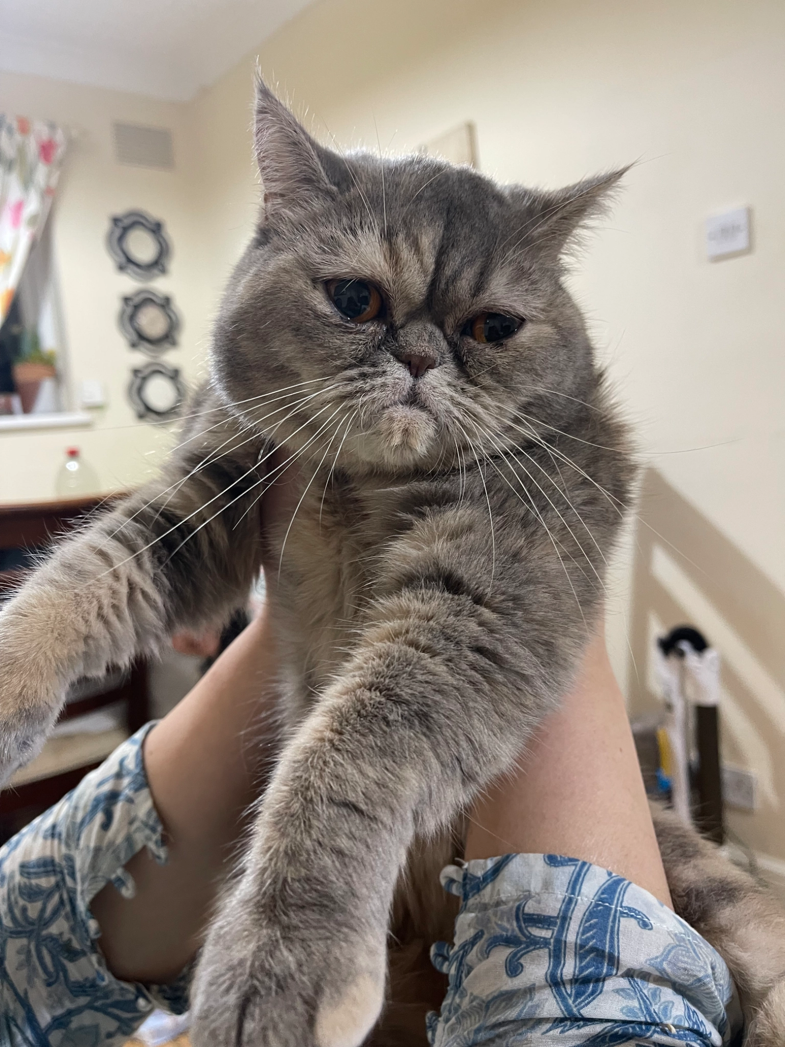 Coco - Prestwich Park Road South, Manchester