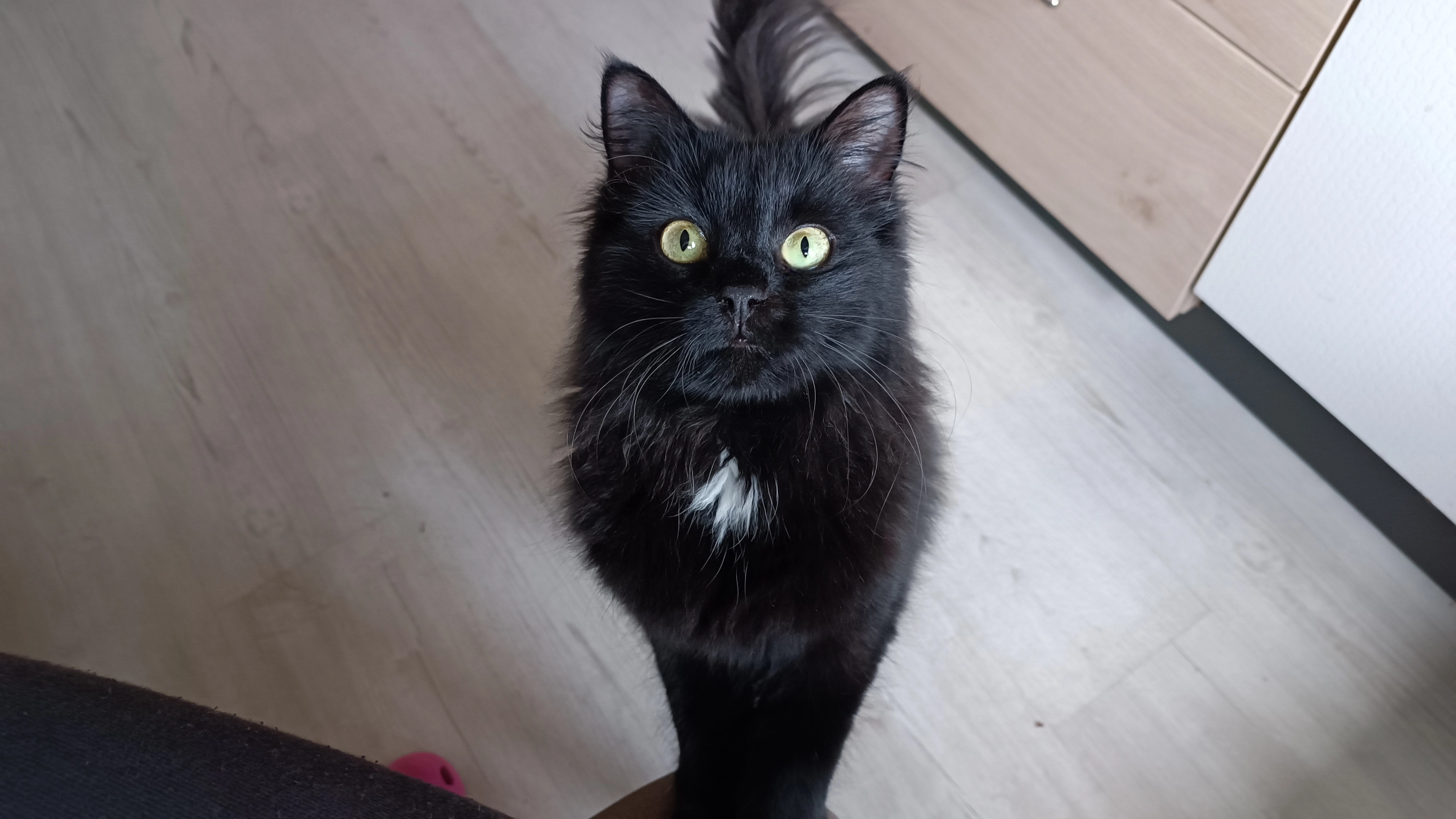 Bobby - Schlepperweg, Sulzbach-Rosenberg