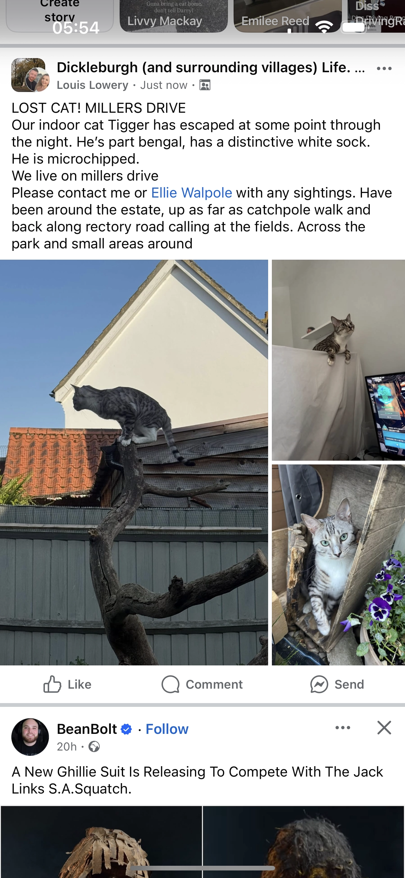 Tigger - IP21 4, Diss