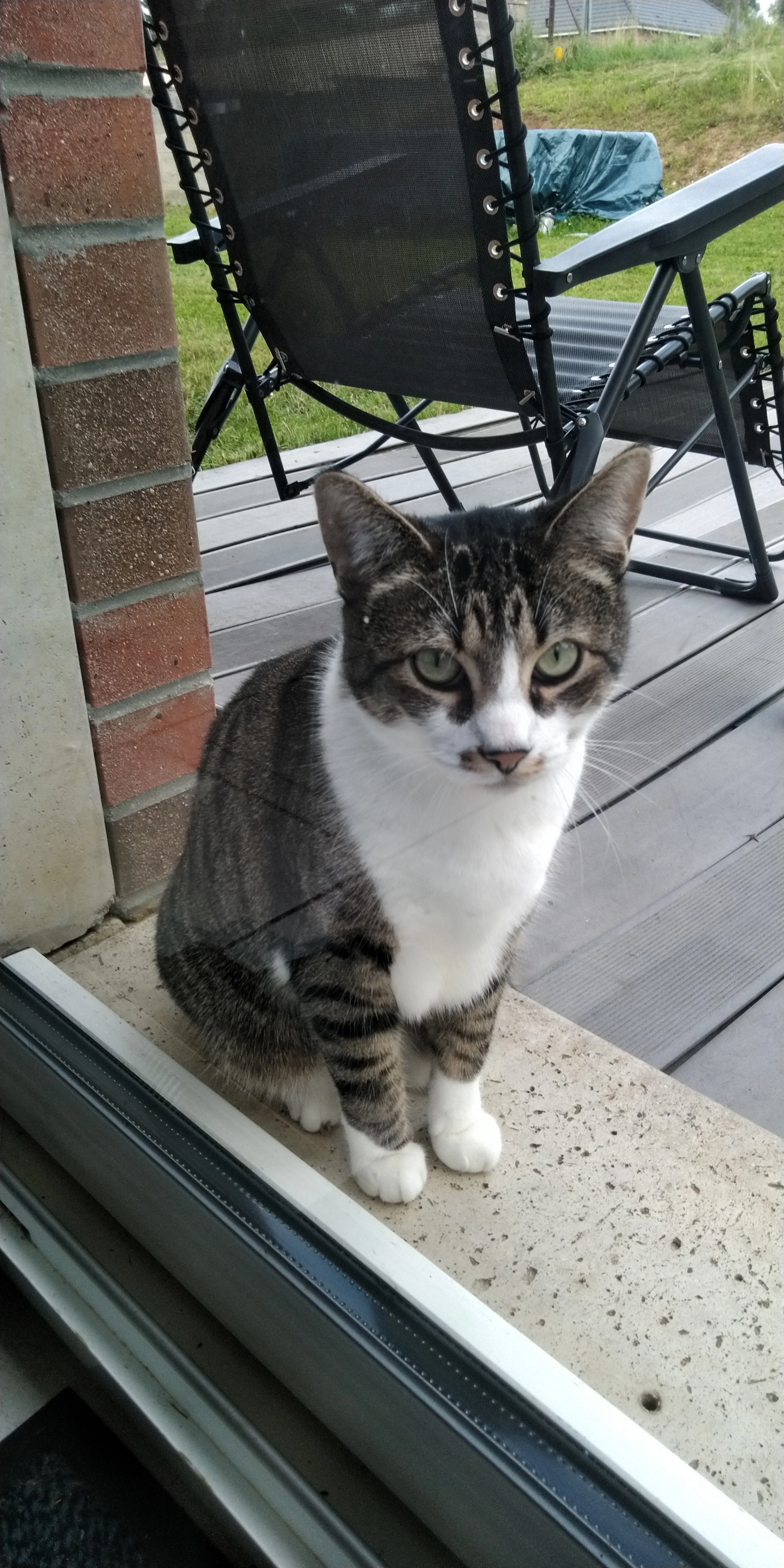 Grishka - 7 Rue Jean Jaurès, Feignies