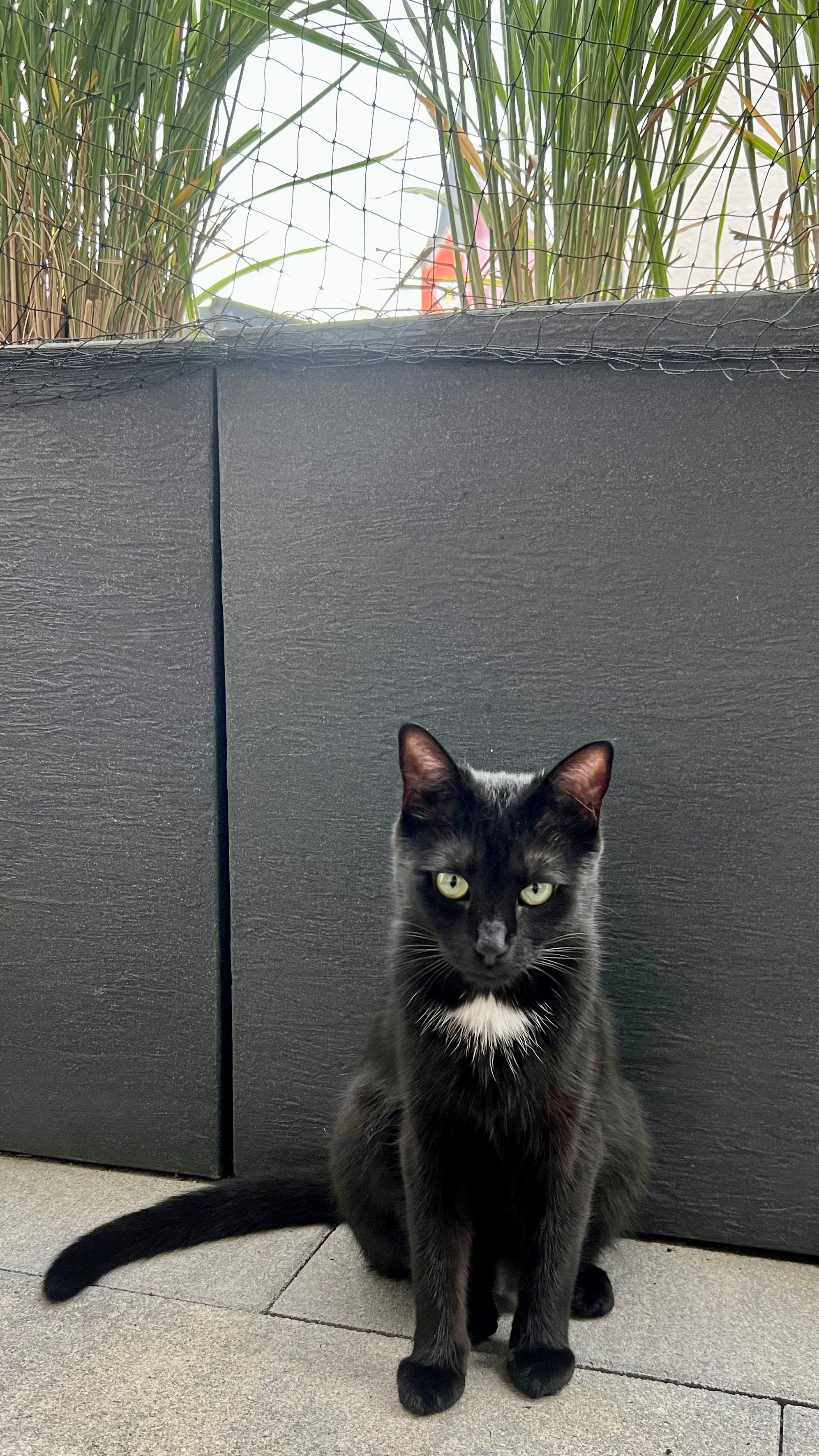 Lilo - Blumenstraße, Niederviehbach