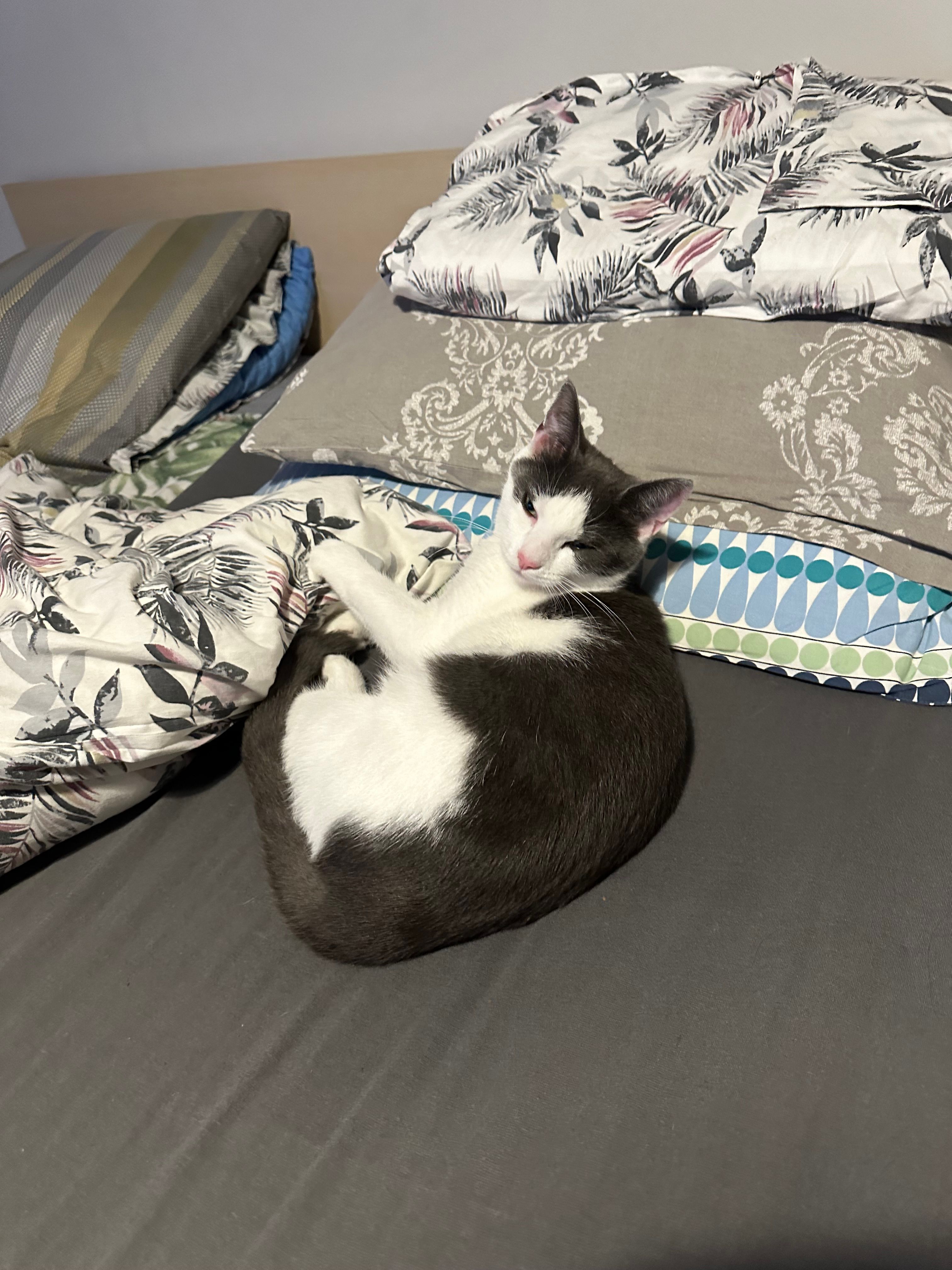 Bella - Gefionsparken, Helsingør