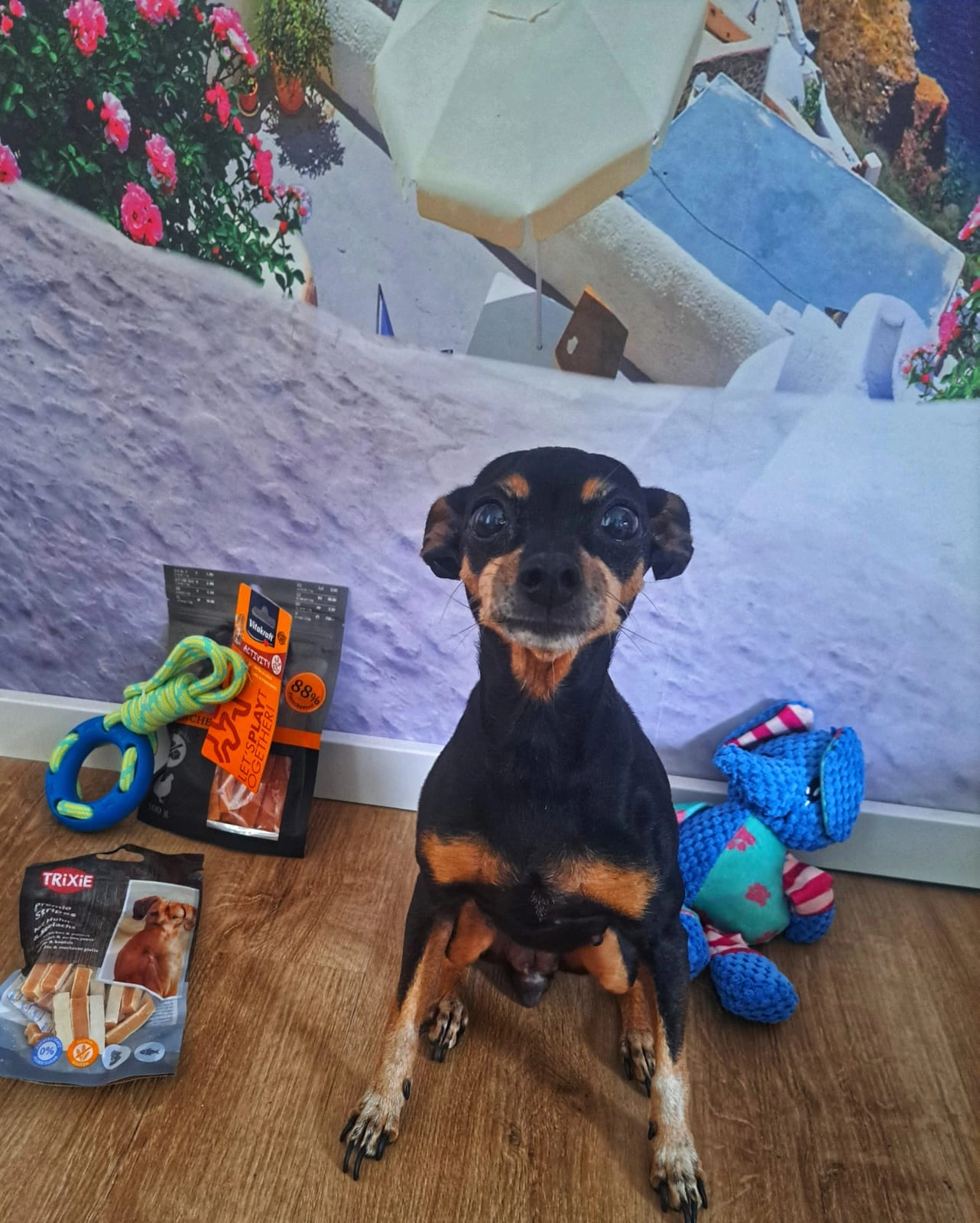 Lucy  - Neue Straße, Elsteraue