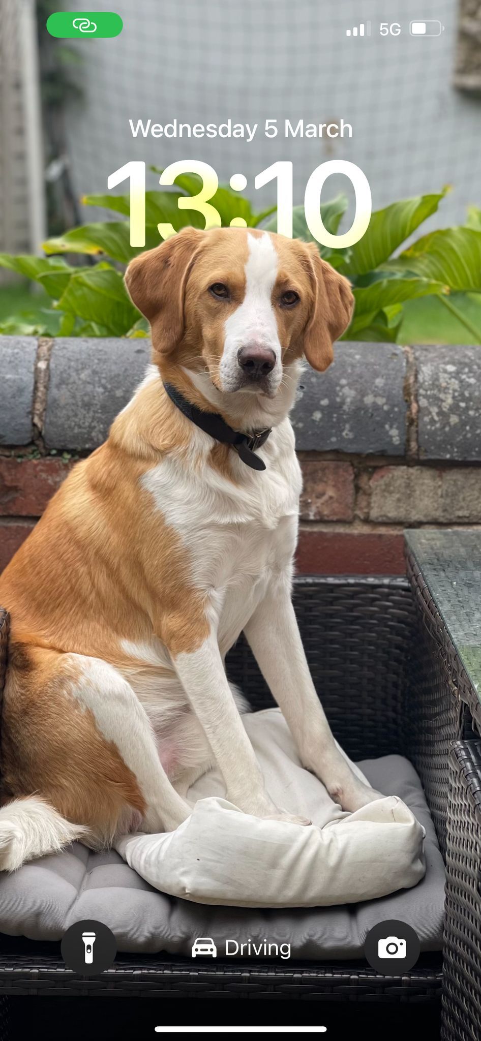 Miller - Heath End, Stratford-upon-Avon