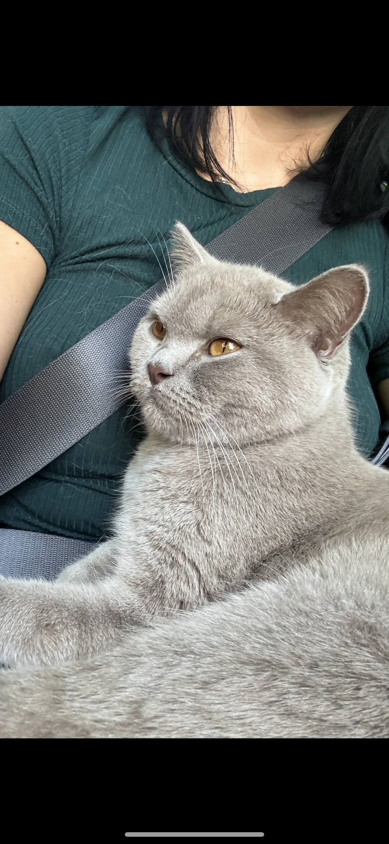 Kiki - Castle Lane, Bedford