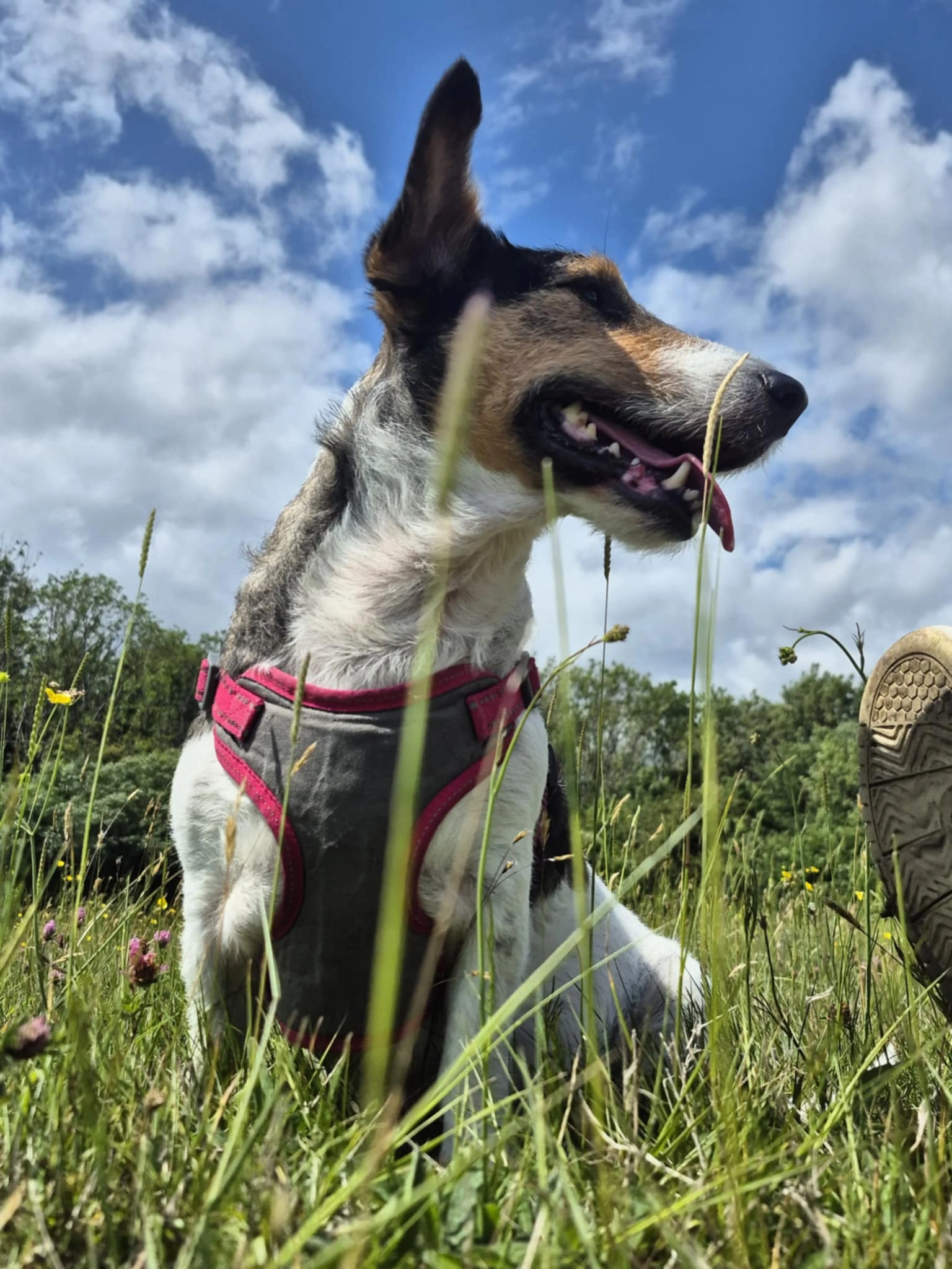 Smaile - SO17 3, Southampton