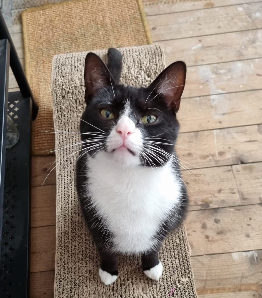 Binx - Fairfield Grove, Morecambe