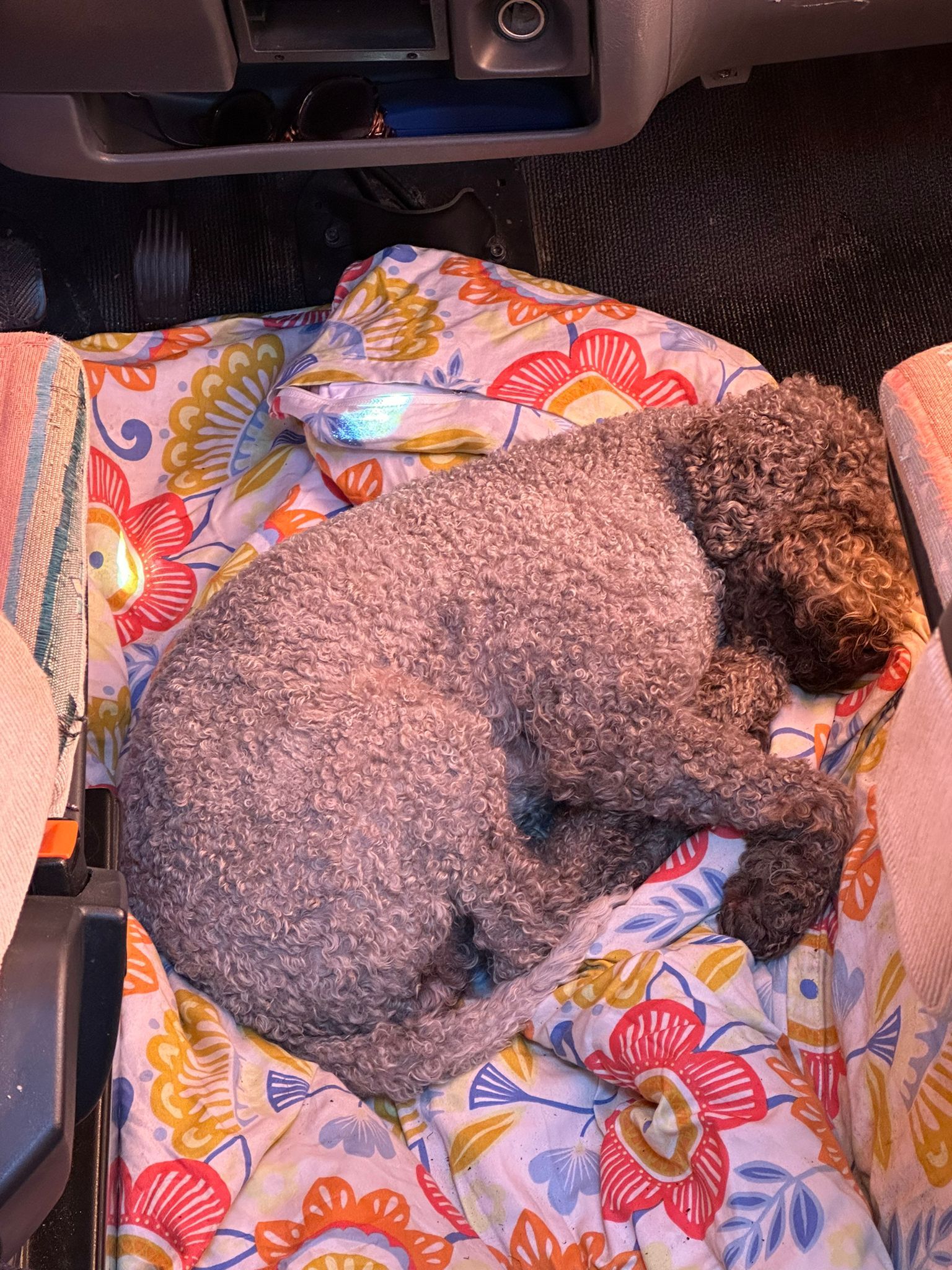 Flynn - Keltenweg, Willanzheim