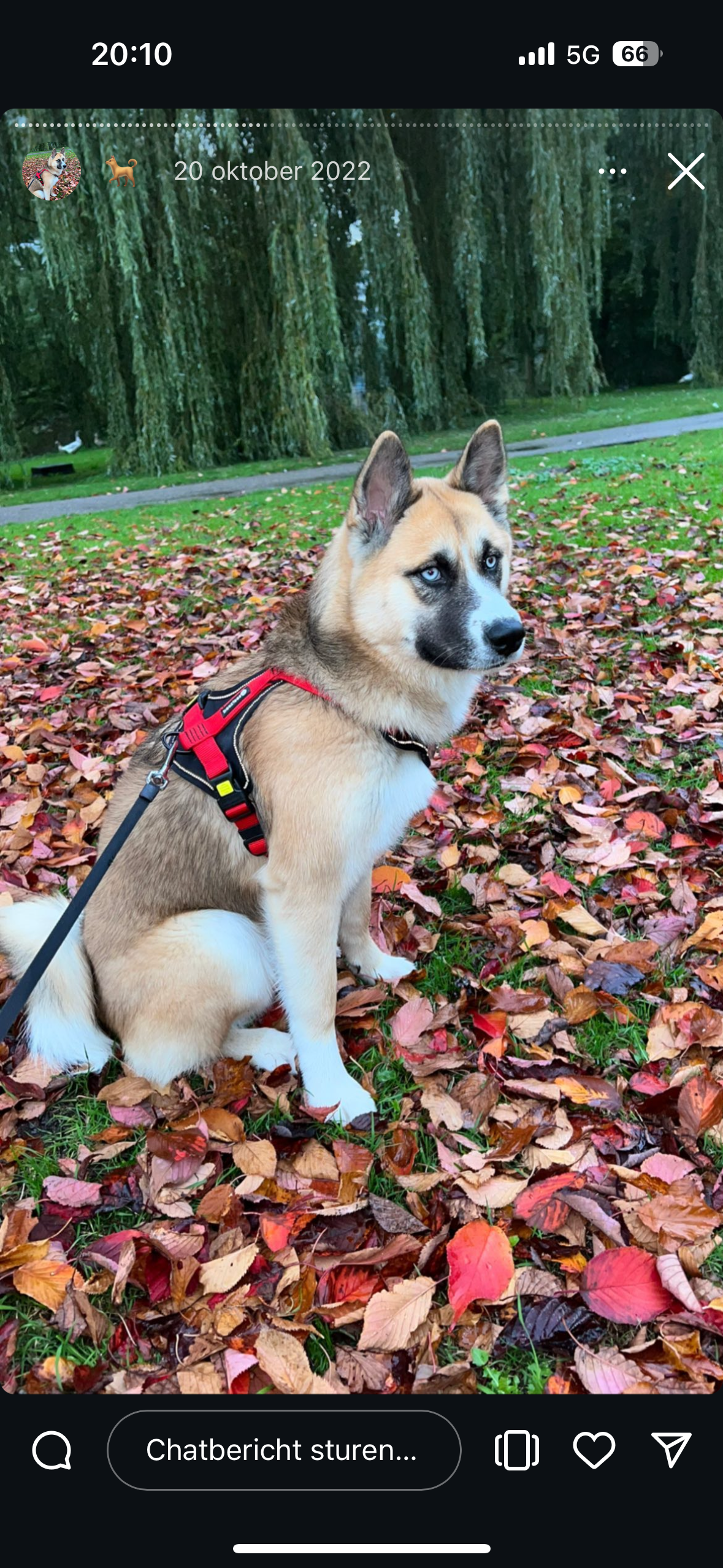 Kira - Kikkensteinhof, Amsterdam-Zuidoost