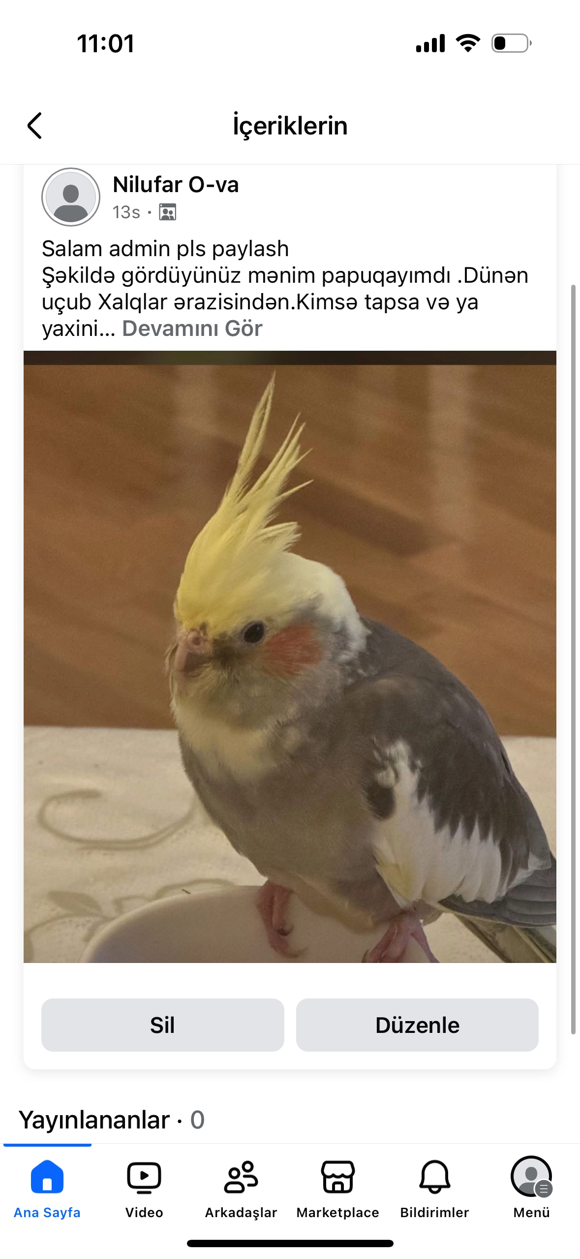 Viki  - Bahruz Nurıyev str, Bakı