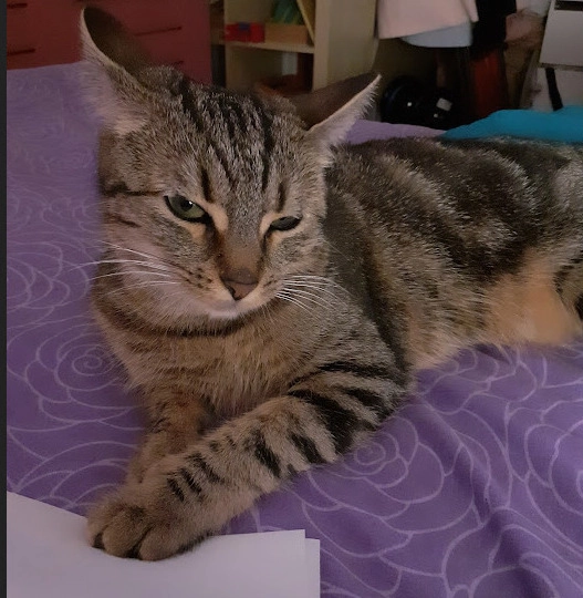 Nahla - La Breteche, Le Loroux-Bottereau