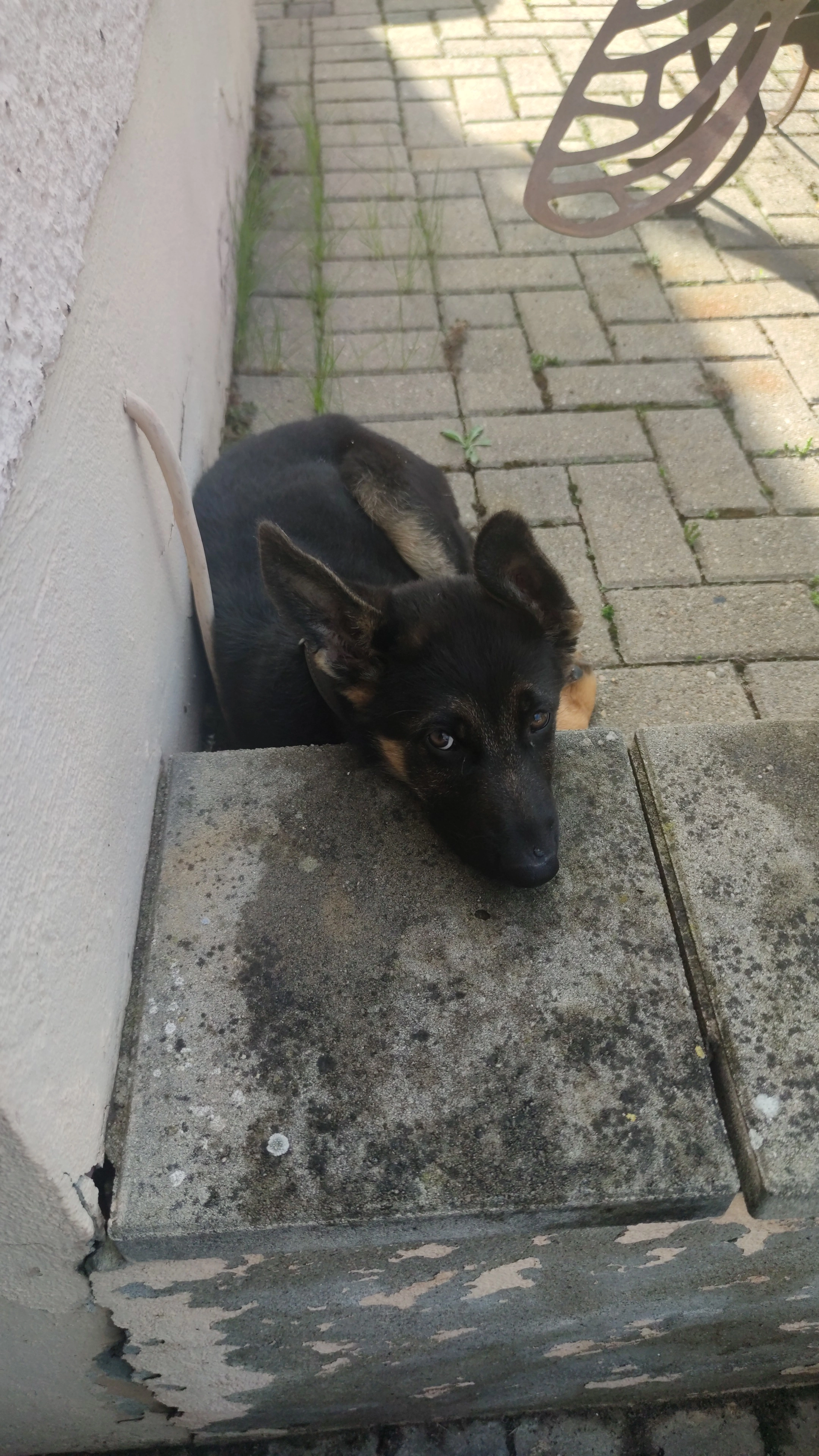 Eva - Dresdener Straße, Zahna-Elster