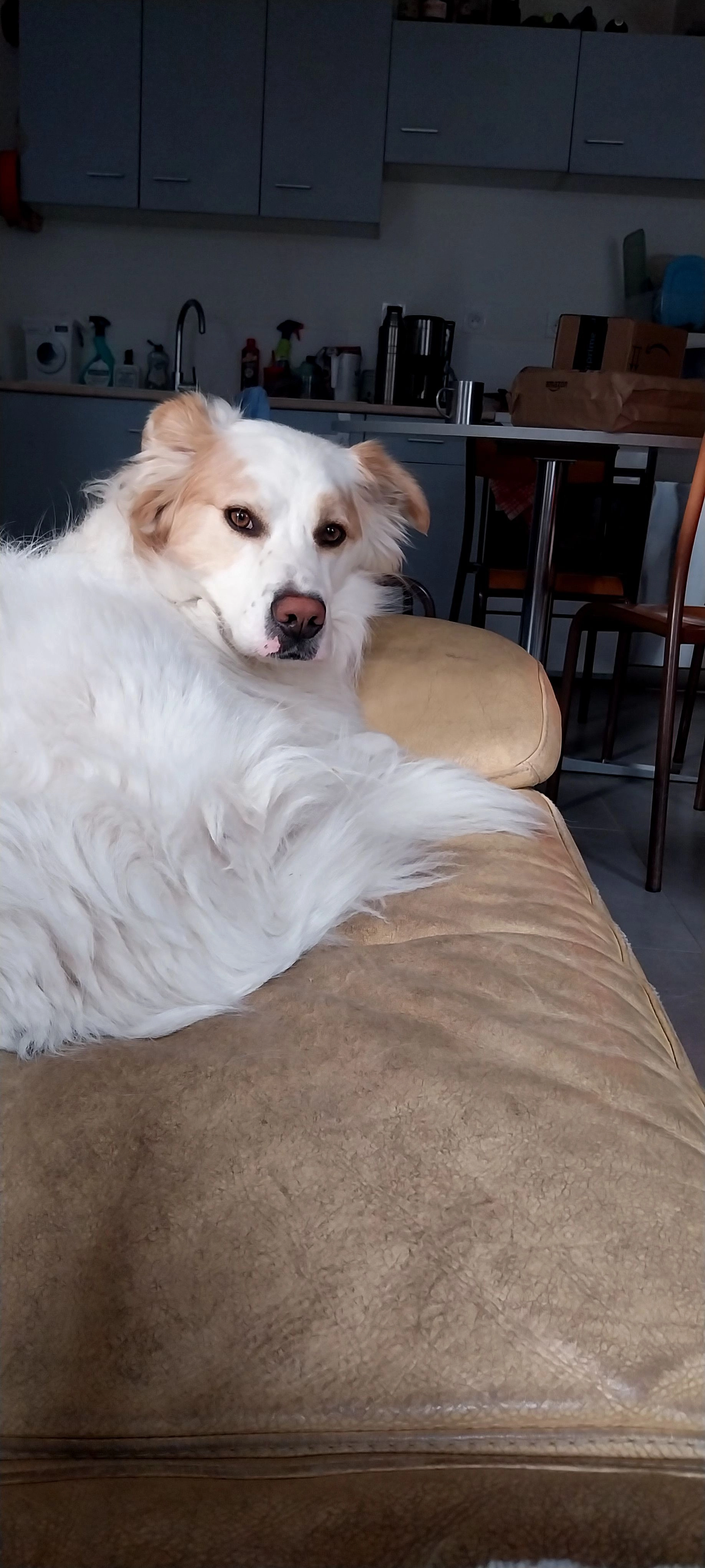 Indi - Rue L'étalian, Langrune-sur-Mer