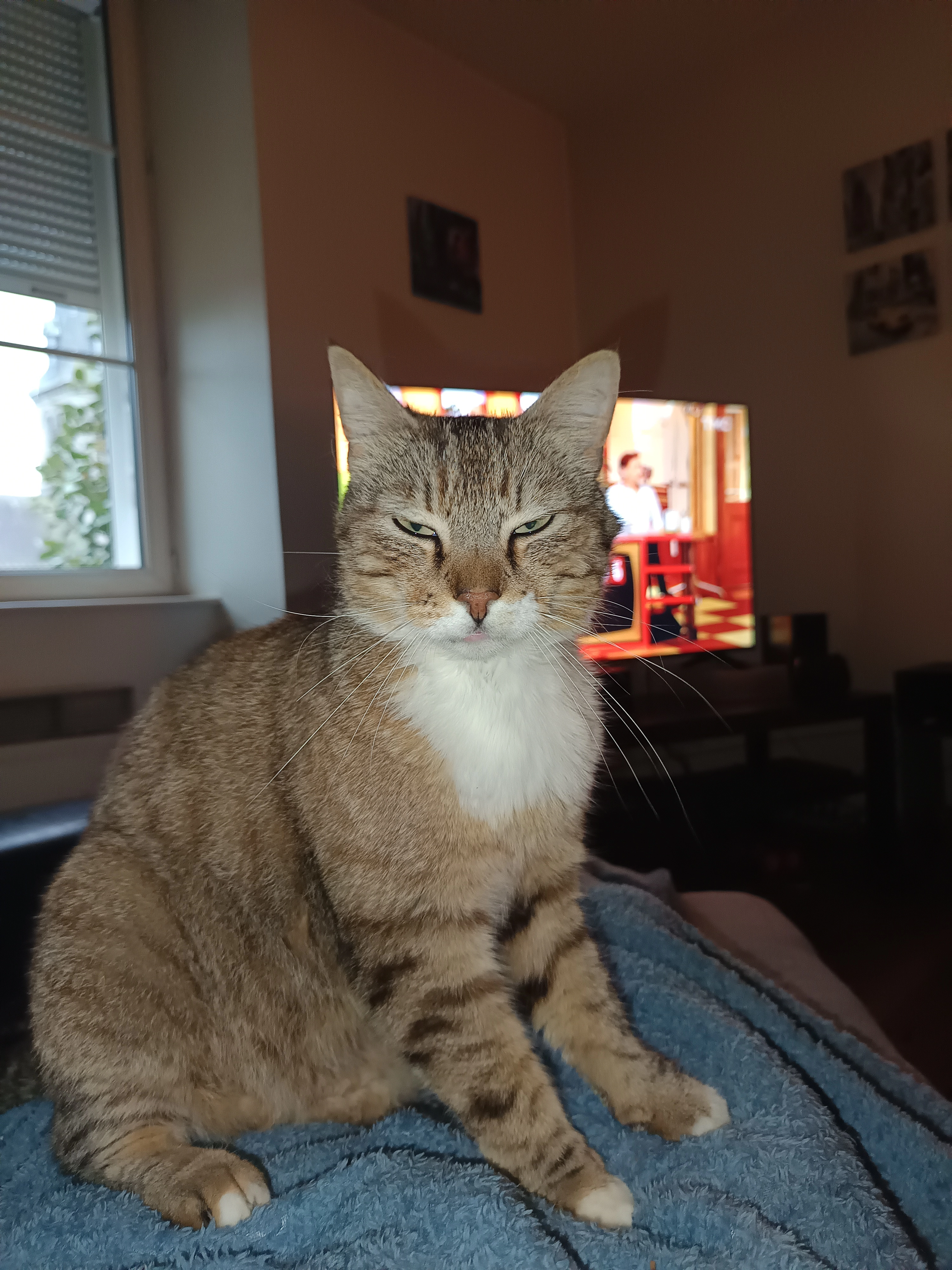 Parker - 1 Place Jacques Rouvière, Souleuvre-en-Bocage