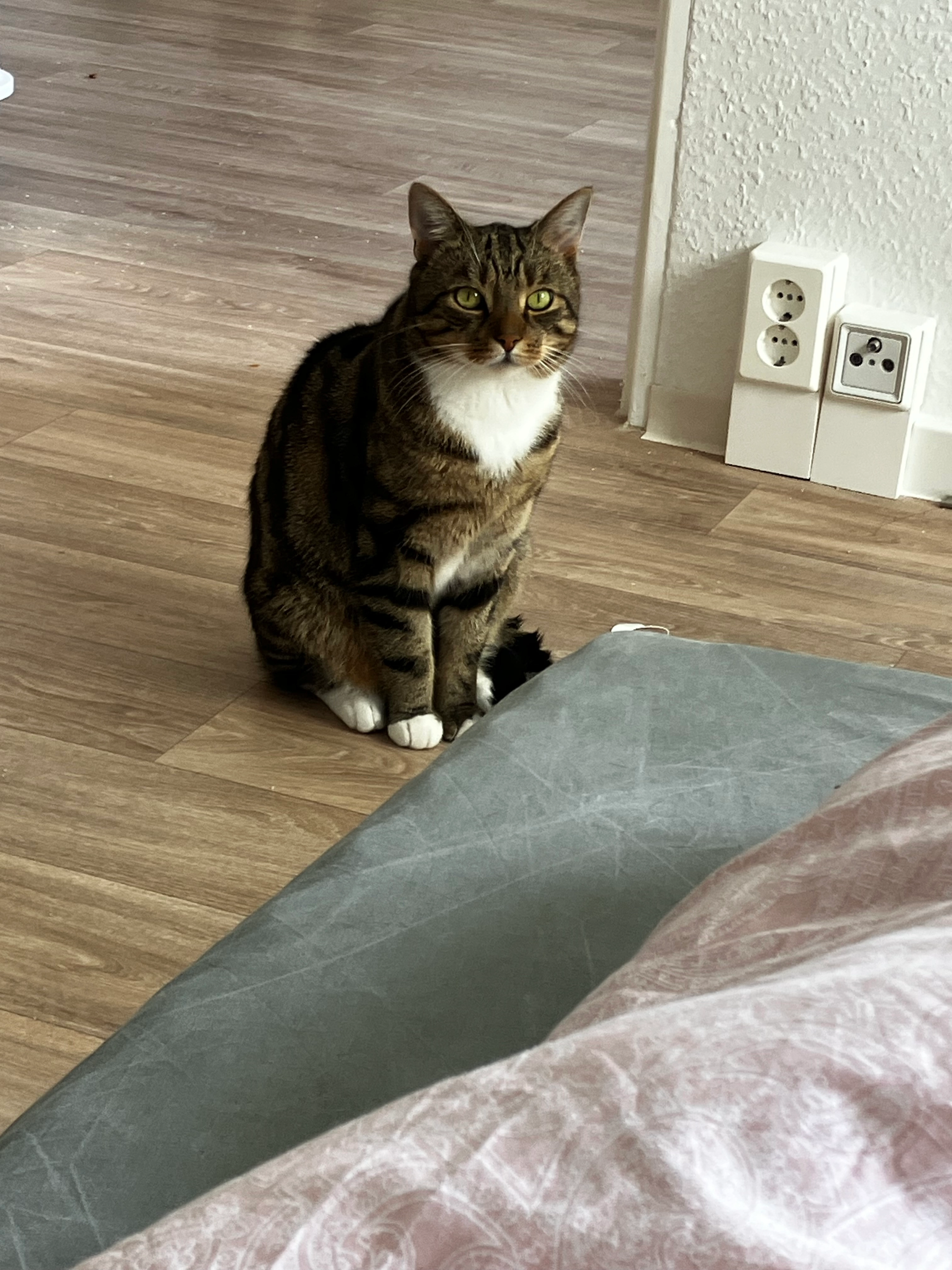 Xuanxuan - Am Senftenberger See, Senftenberg