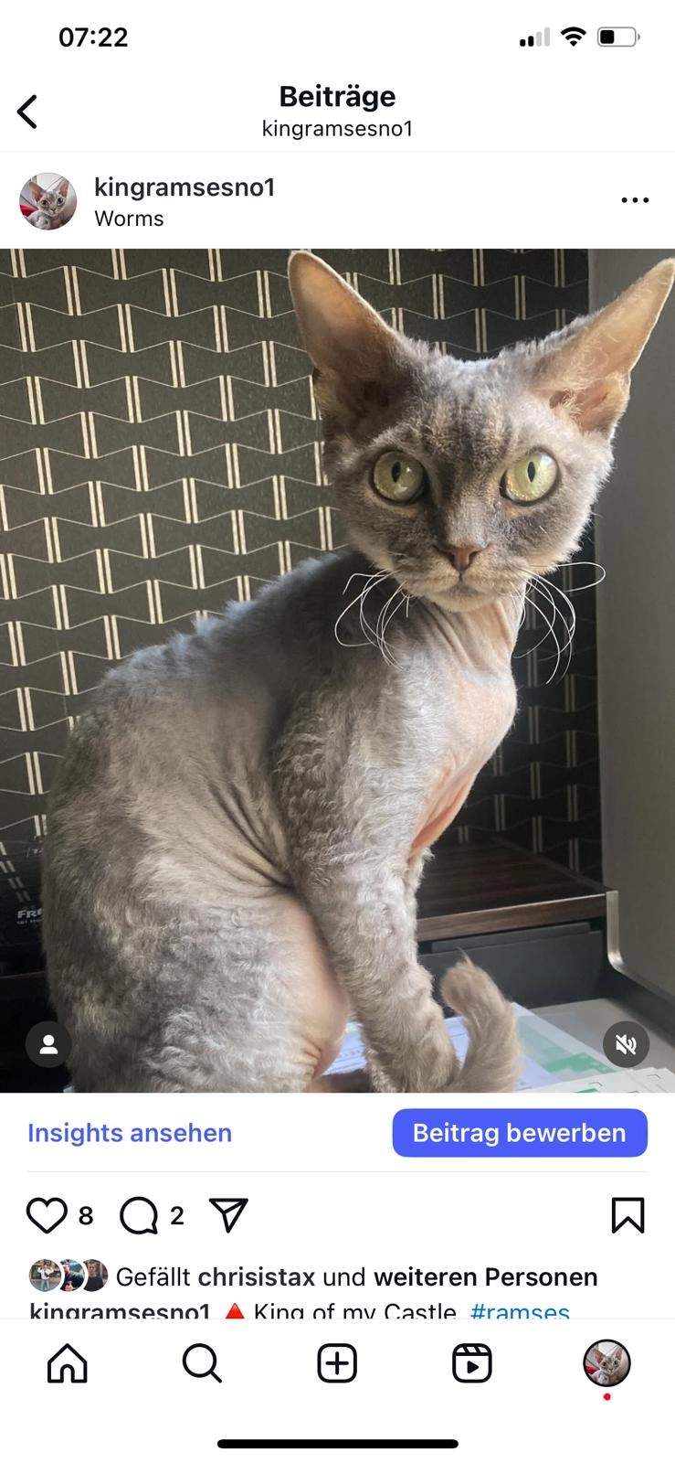 Ramses  - Dreihornmühlgasse, Worms