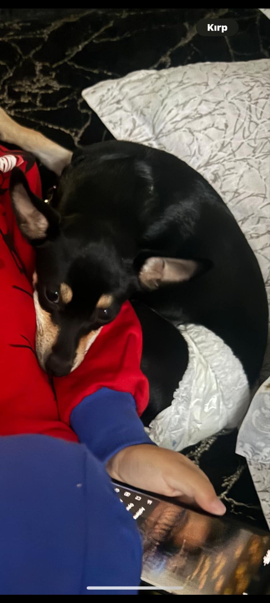 Ayleyna - Kongostraße, Berlin