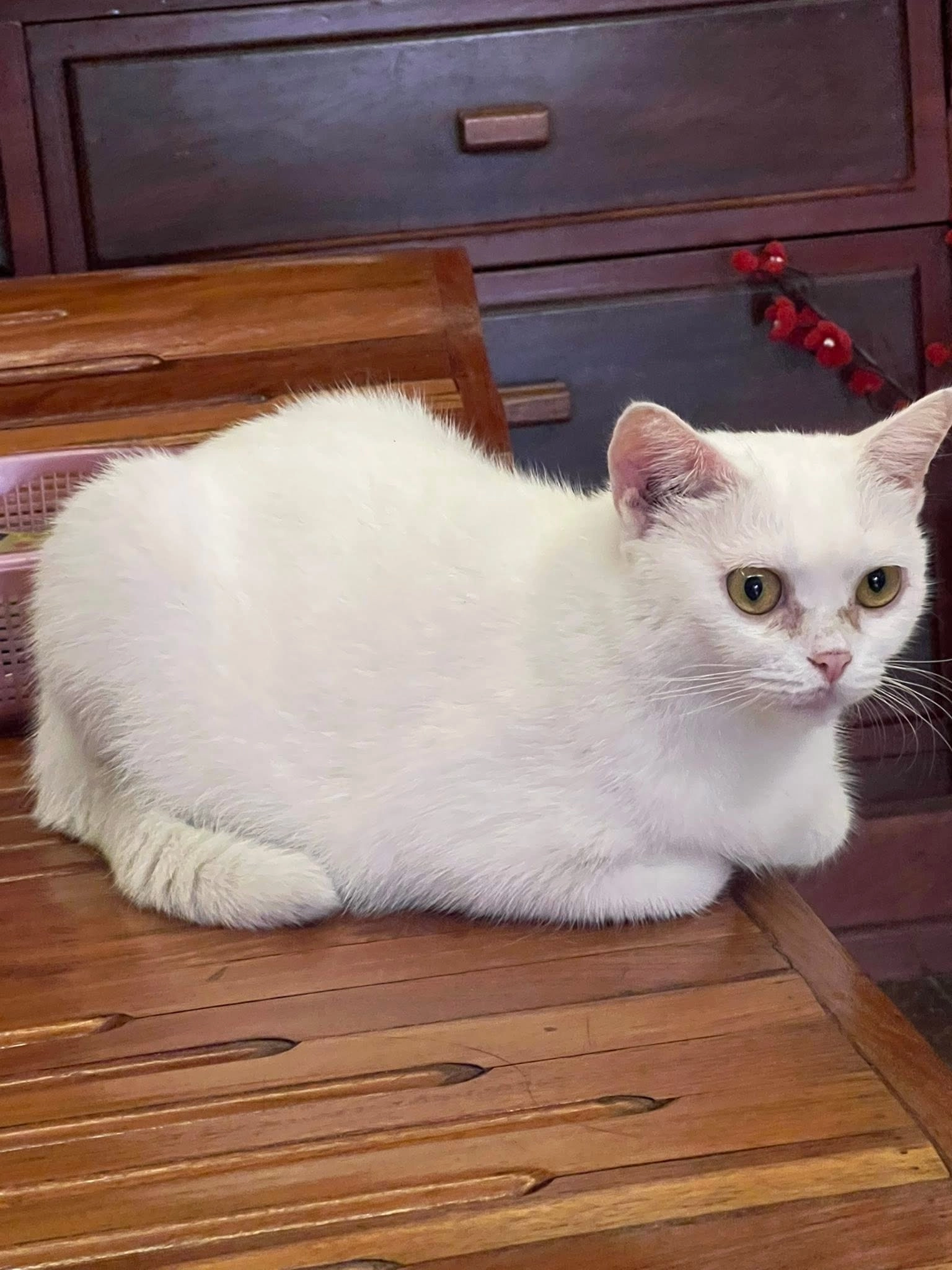 Pearl - 120801, Phnom Penh