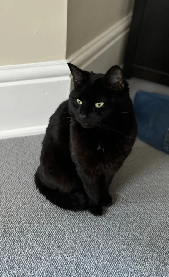Onyx - Woodham Road, Woking