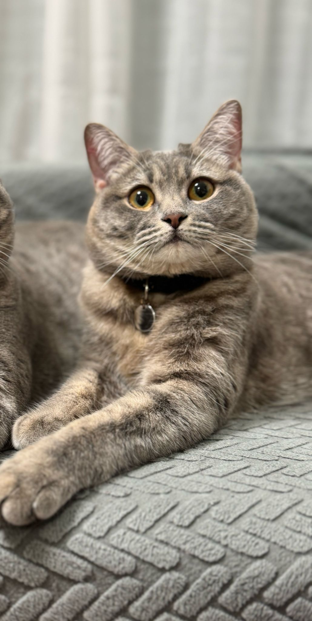 Nix - Calle De Alfonso V El Magnánimo, Zaragoza