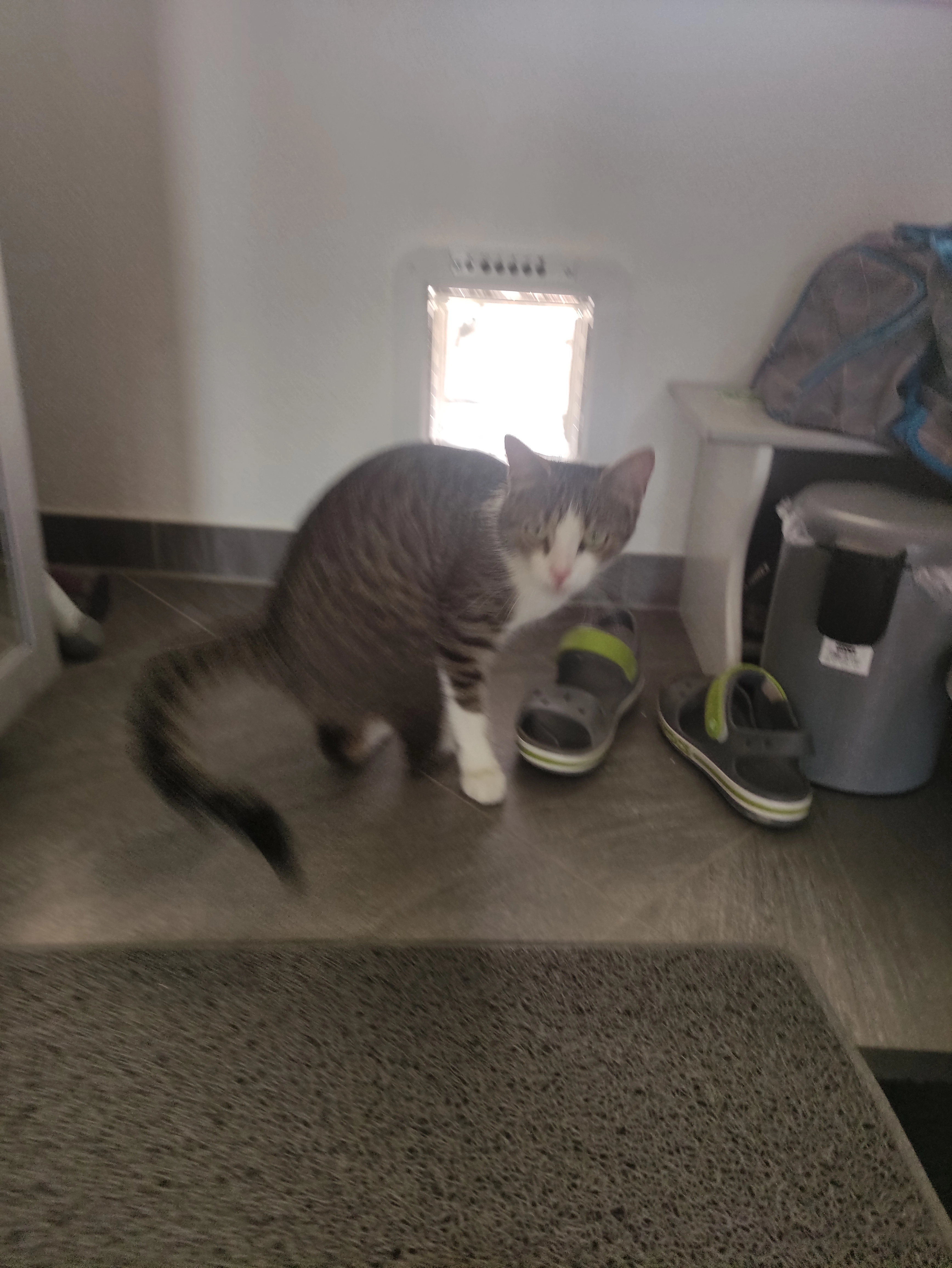 Maxi  - Dresdener Straße, Birkenfeld