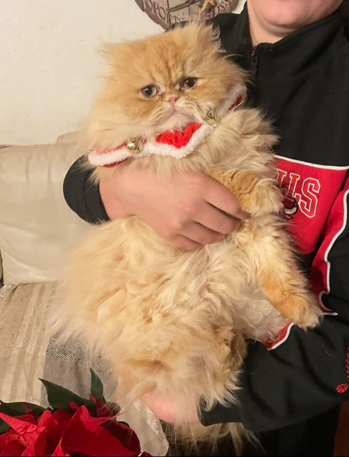 Nanoui - 38660, Sainte-Marie-du-Mont