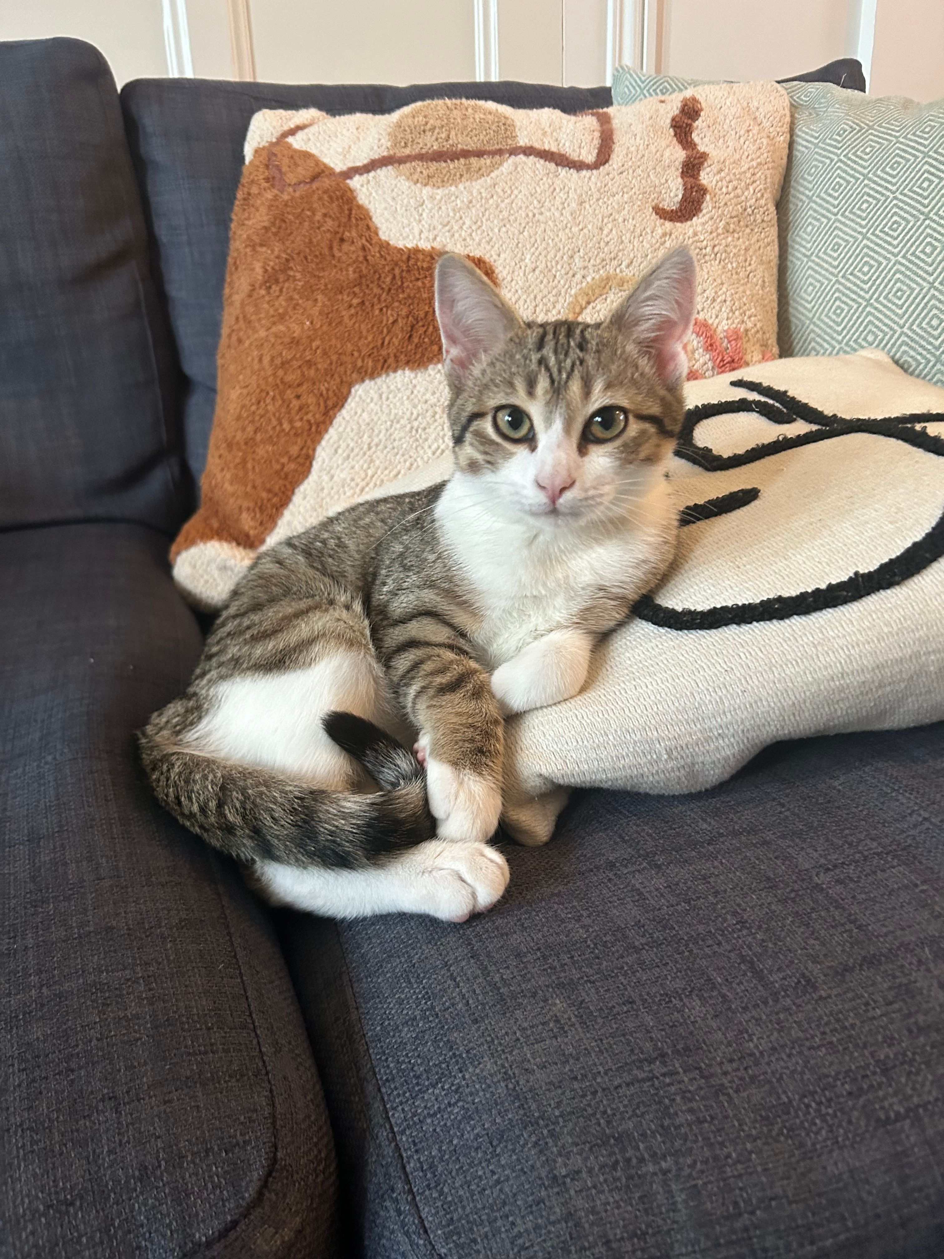 Price - Rue De La Fosse Auray, Préfailles