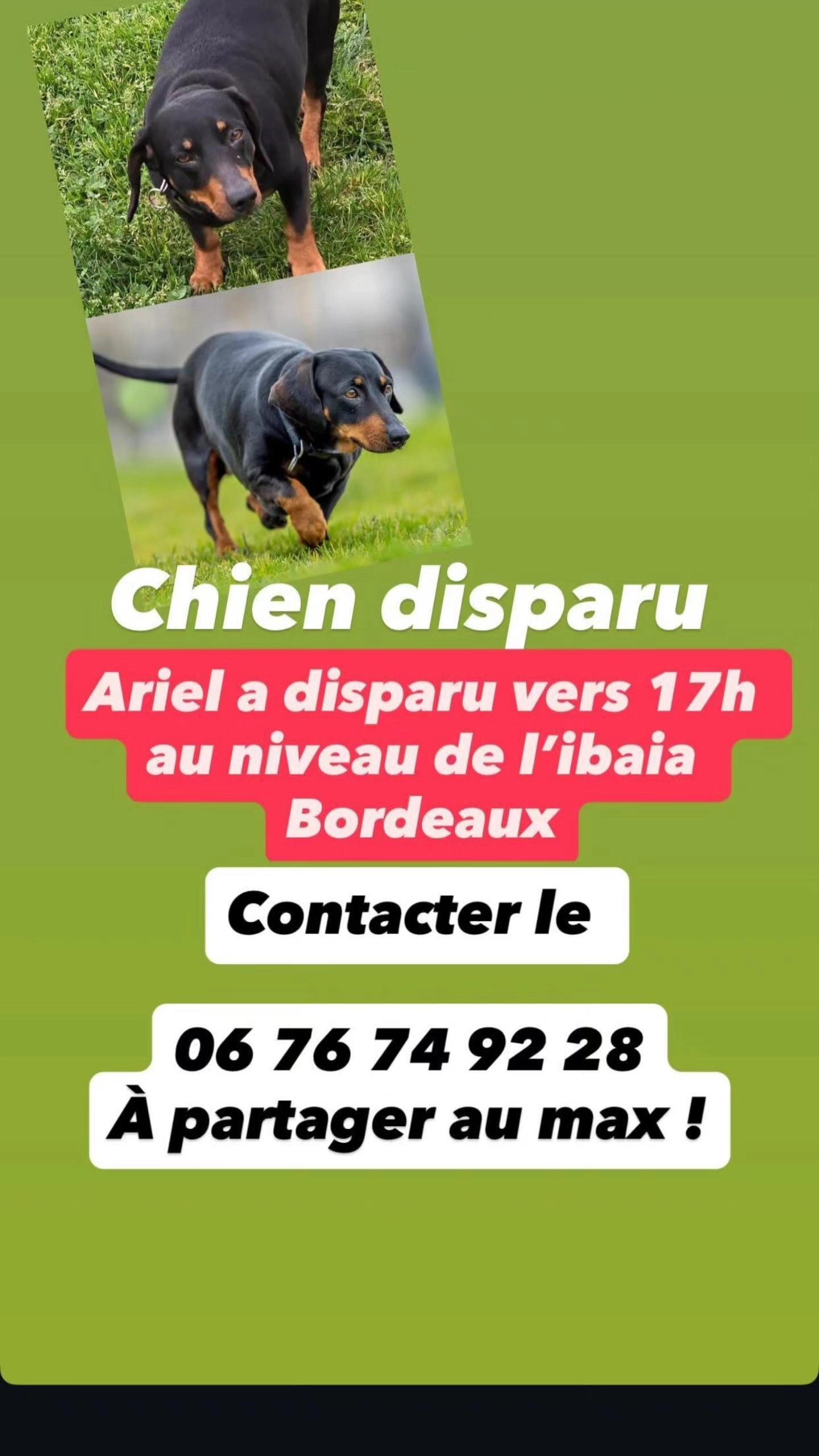 Ariel - Quai Des Chartrons, Bordeaux