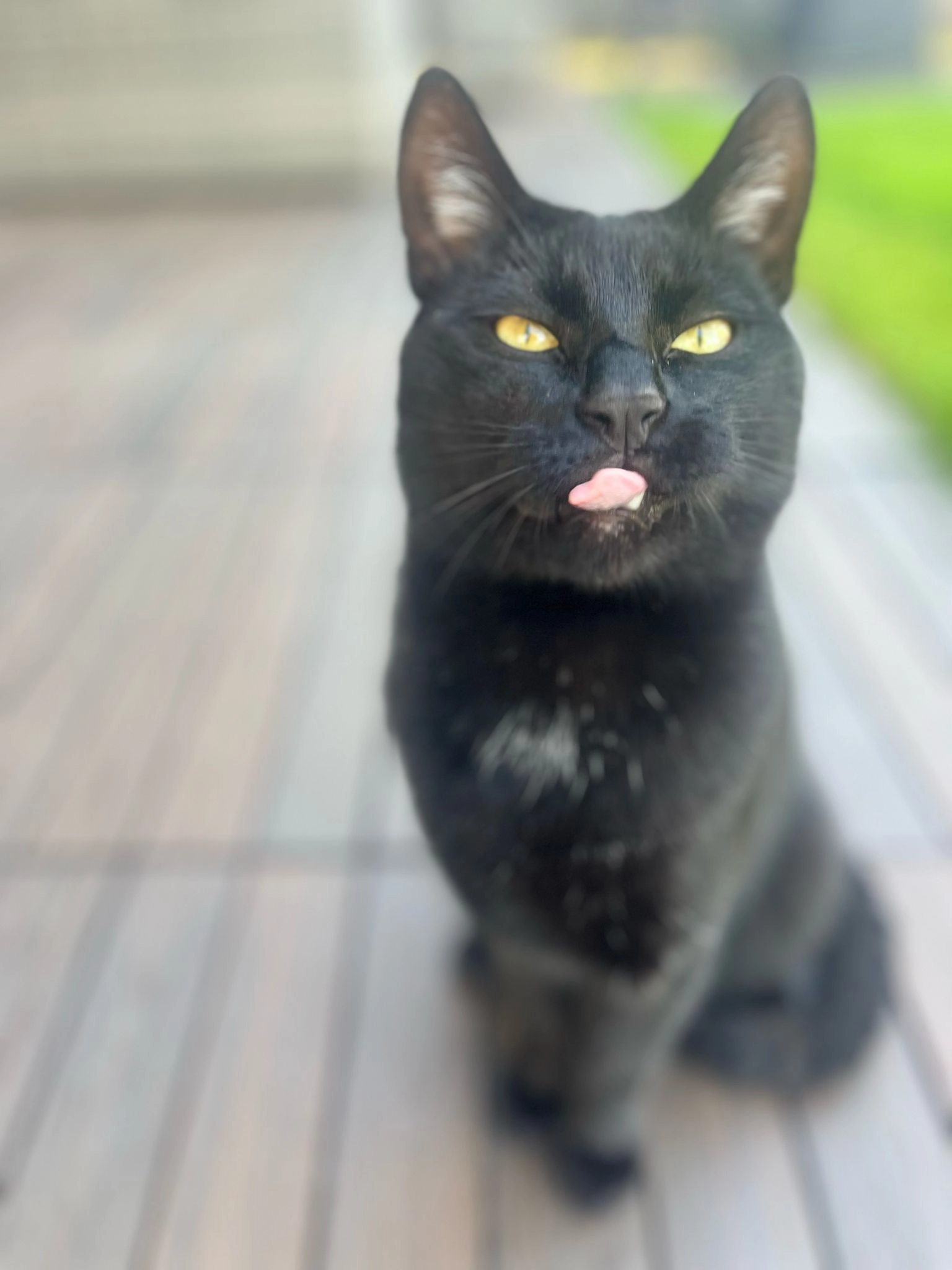 Baggy - Am Kleehof, Paderborn