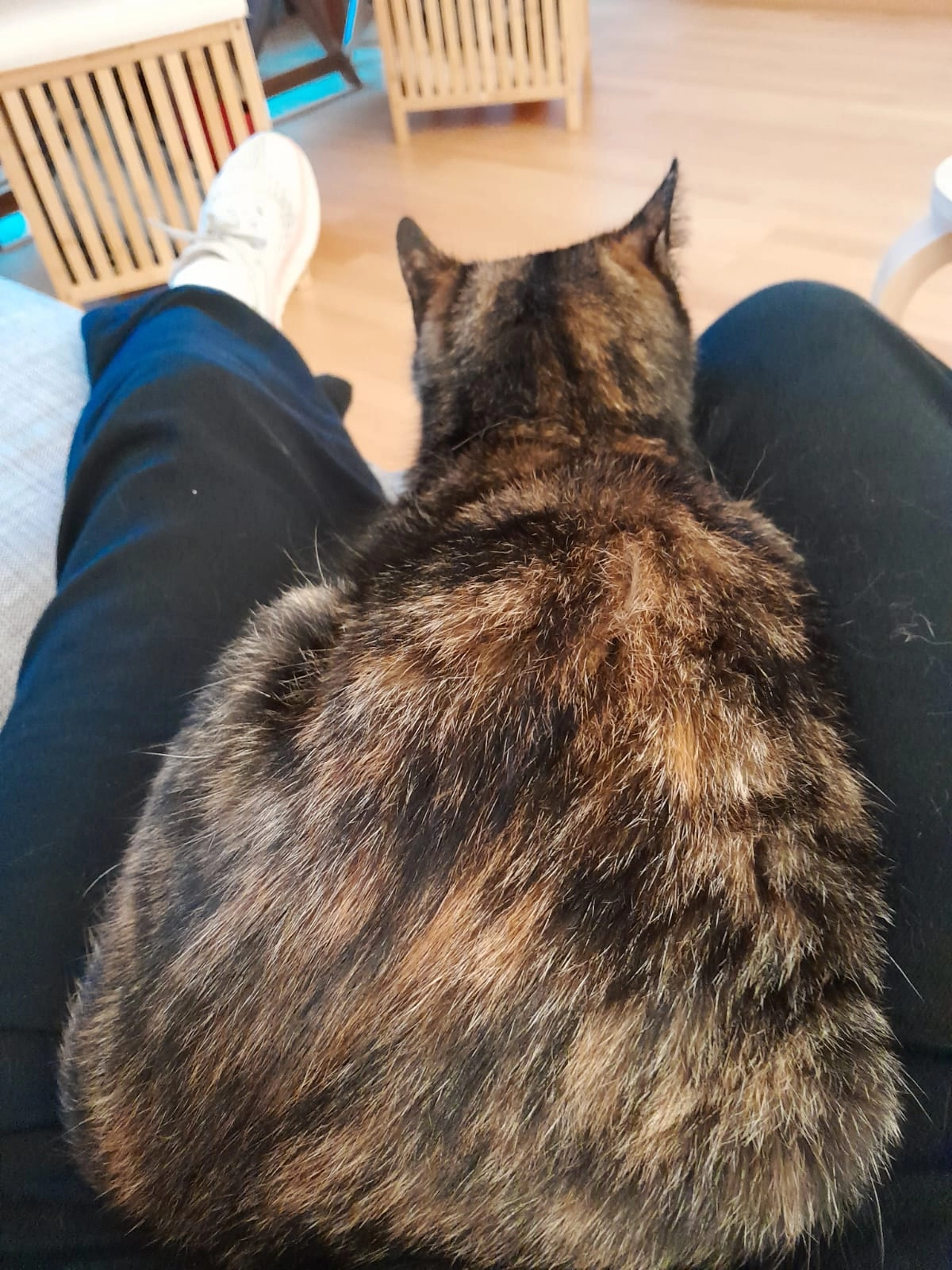 Yin - Peter-Jordan-Straße, Wien