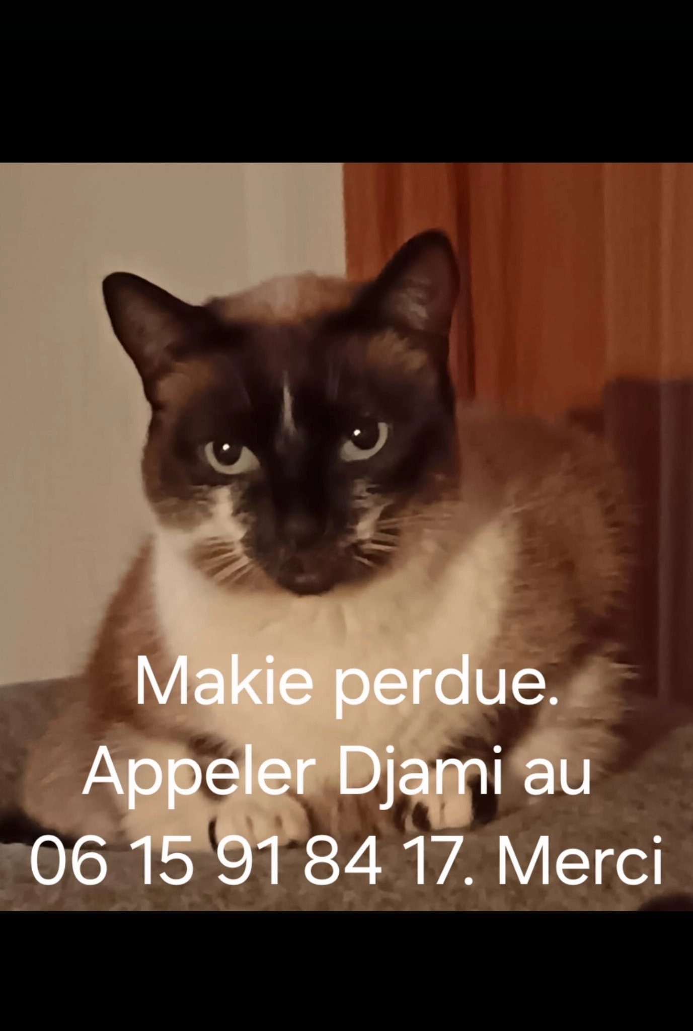 Maki  - 1099 Route de Saint-André-des-Eaux, La Baule-Escoublac