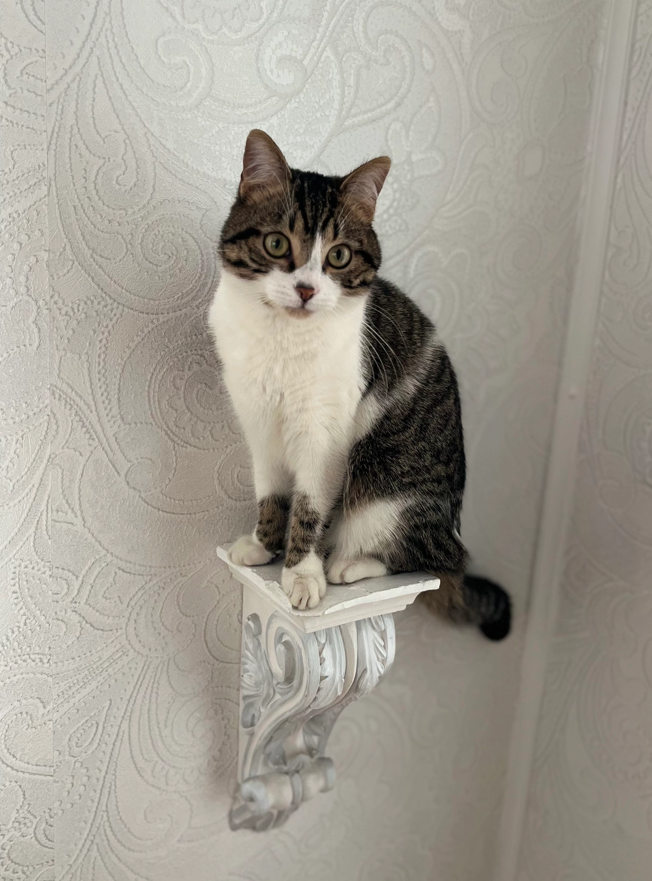 Lucky - Siegtalstraße, Siegen