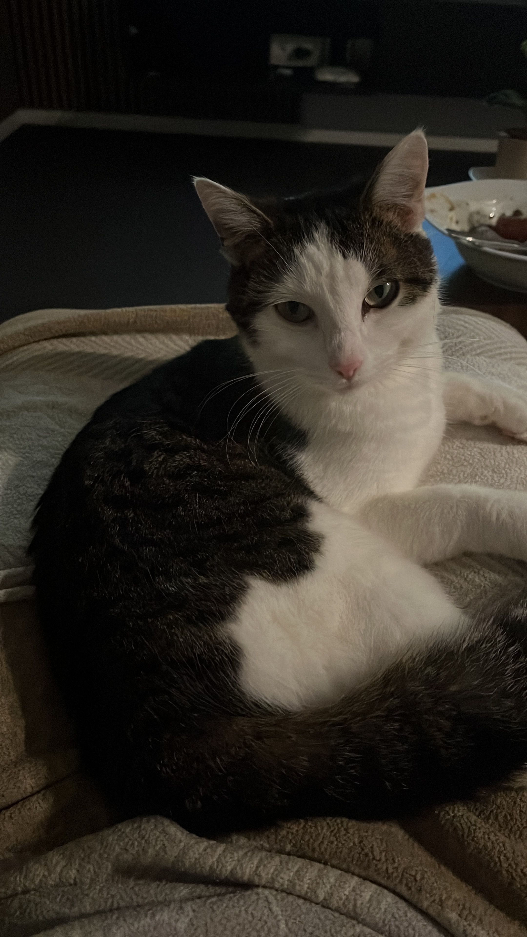 Emmi - Beethovenweg, Wardenburg