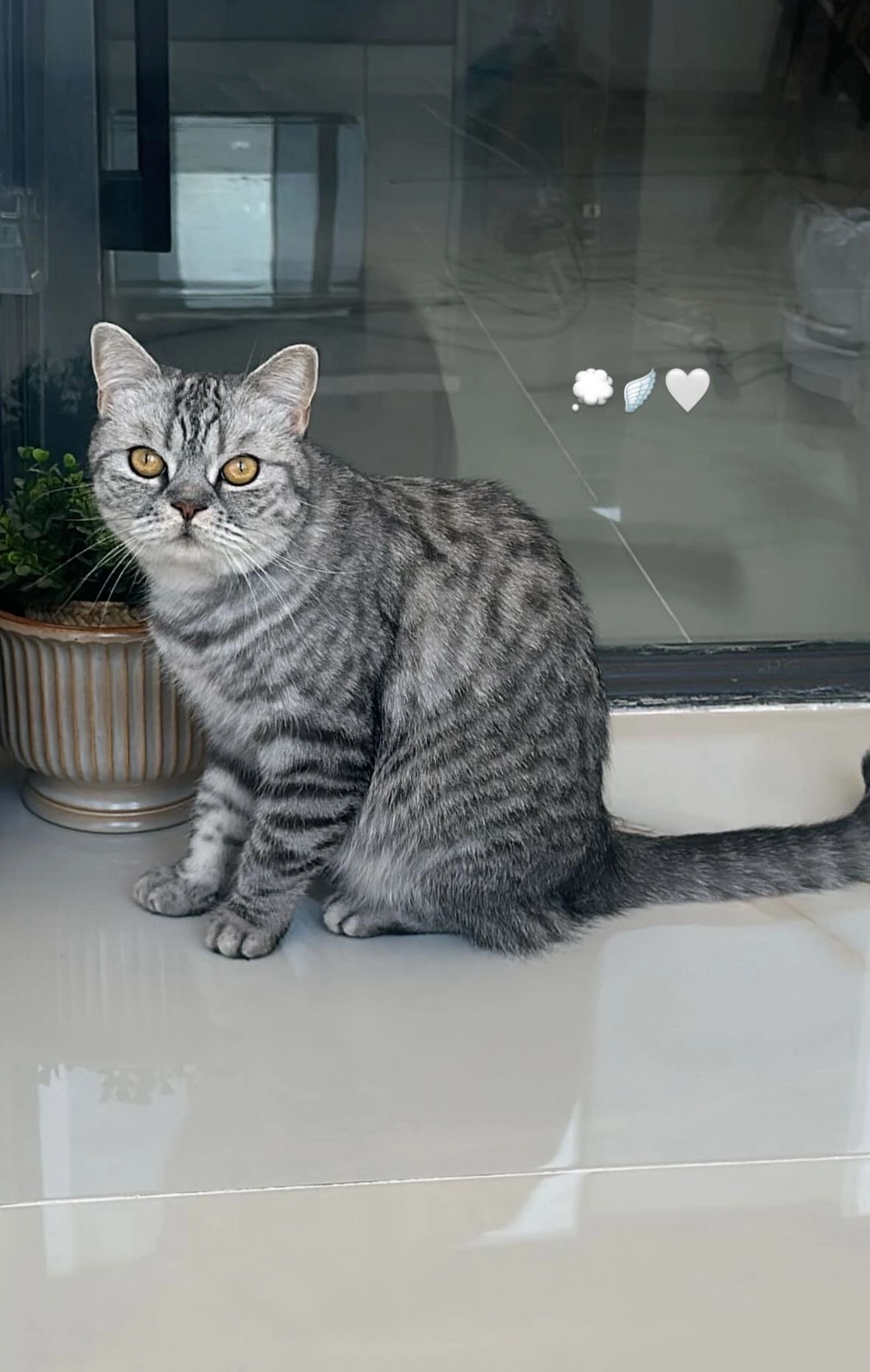 Liya - Berliner Straße, Salzgitter